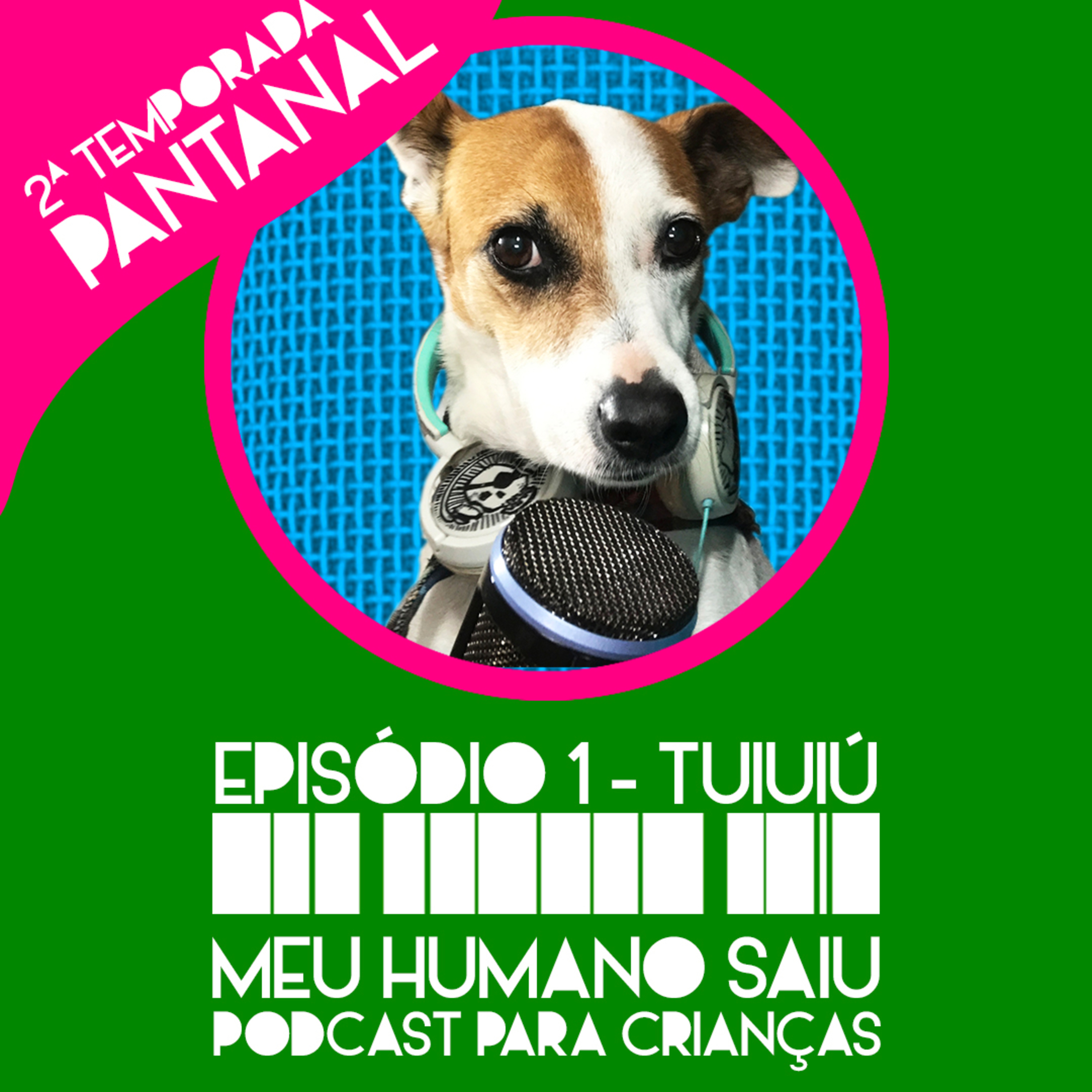 Meu Humano Saiu