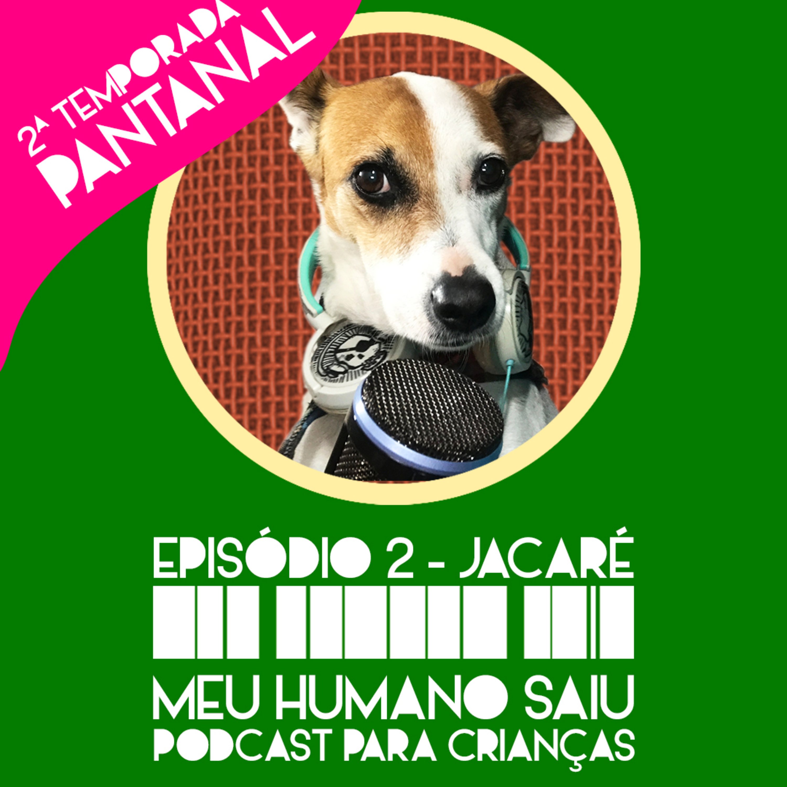Meu Humano Saiu