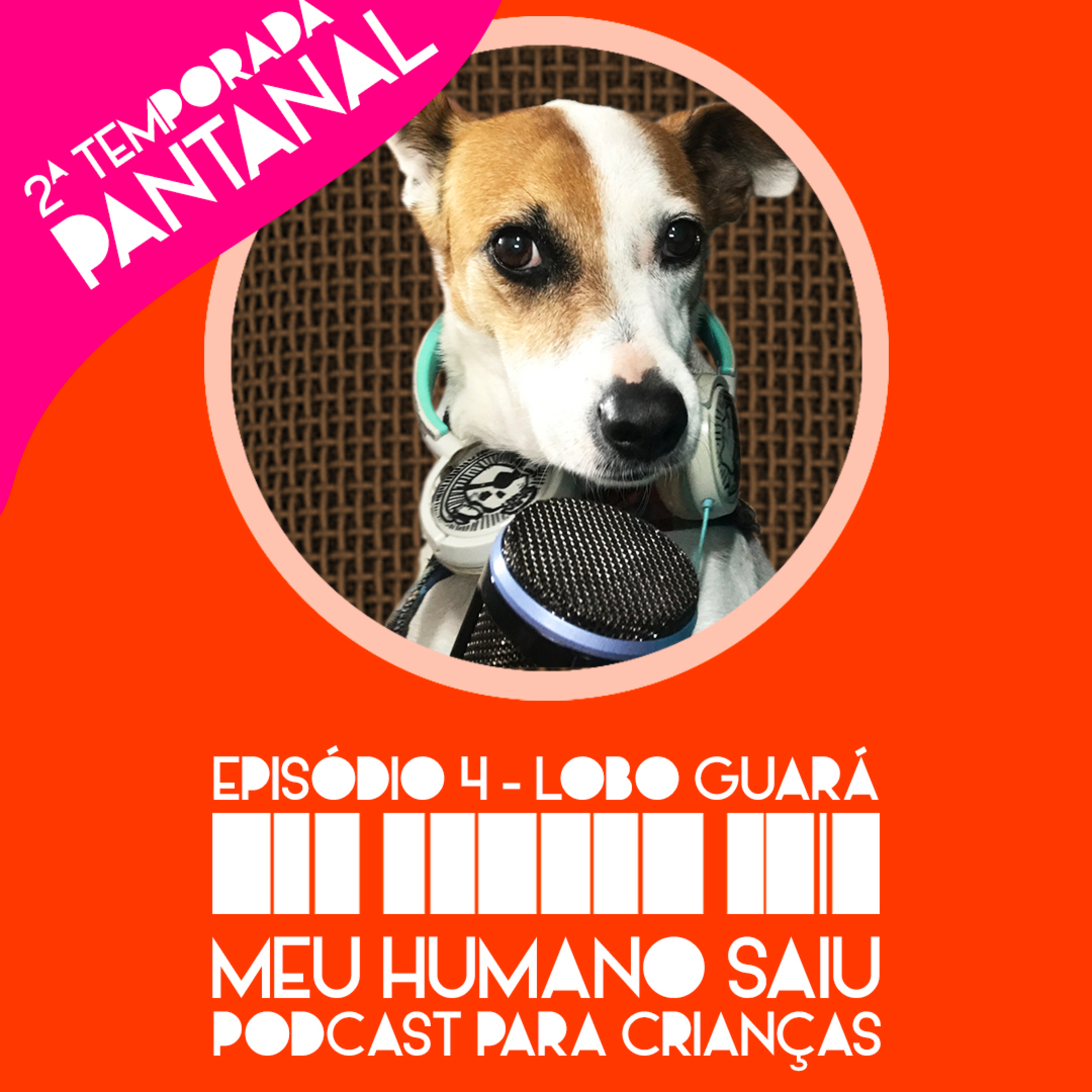 Meu Humano Saiu