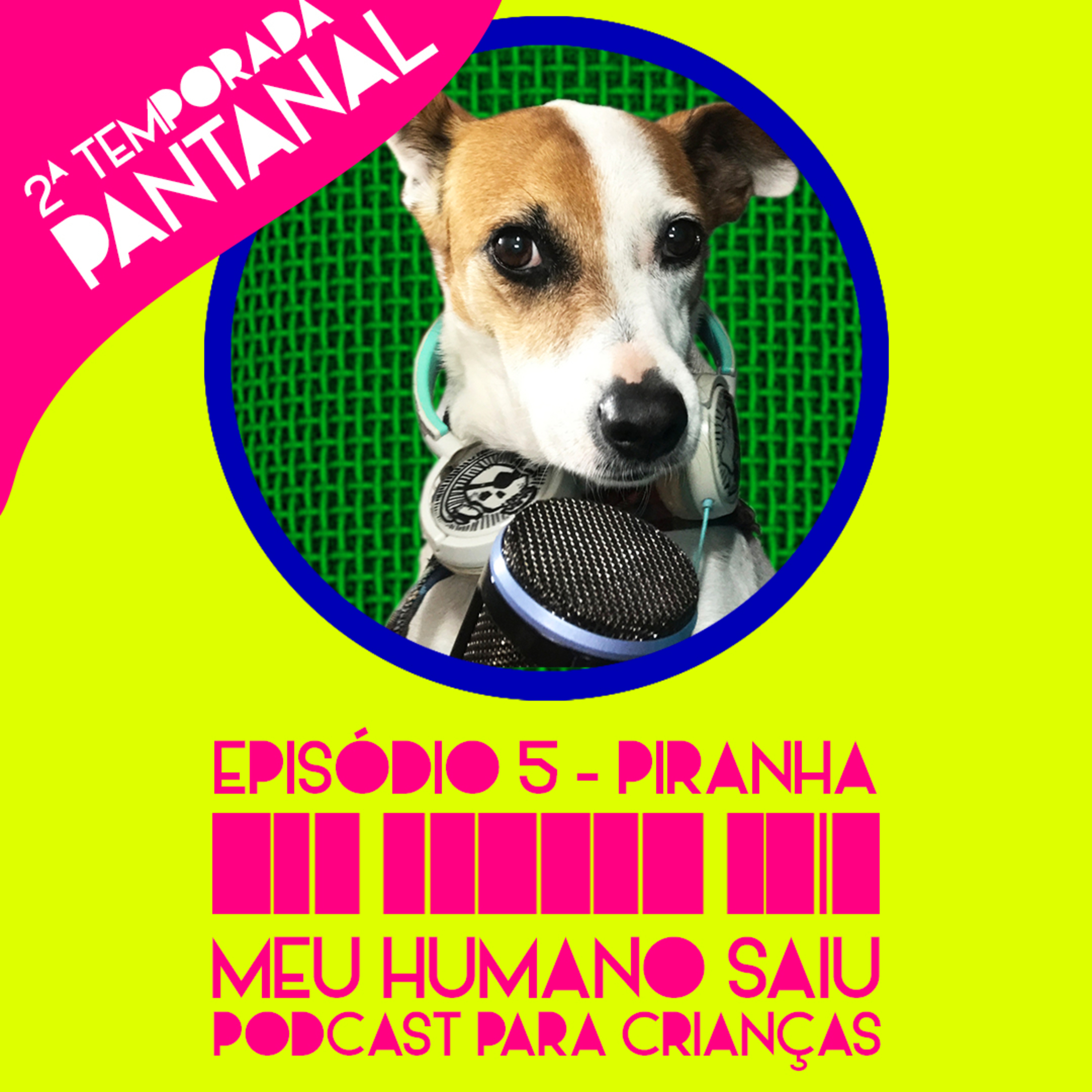 Meu Humano Saiu