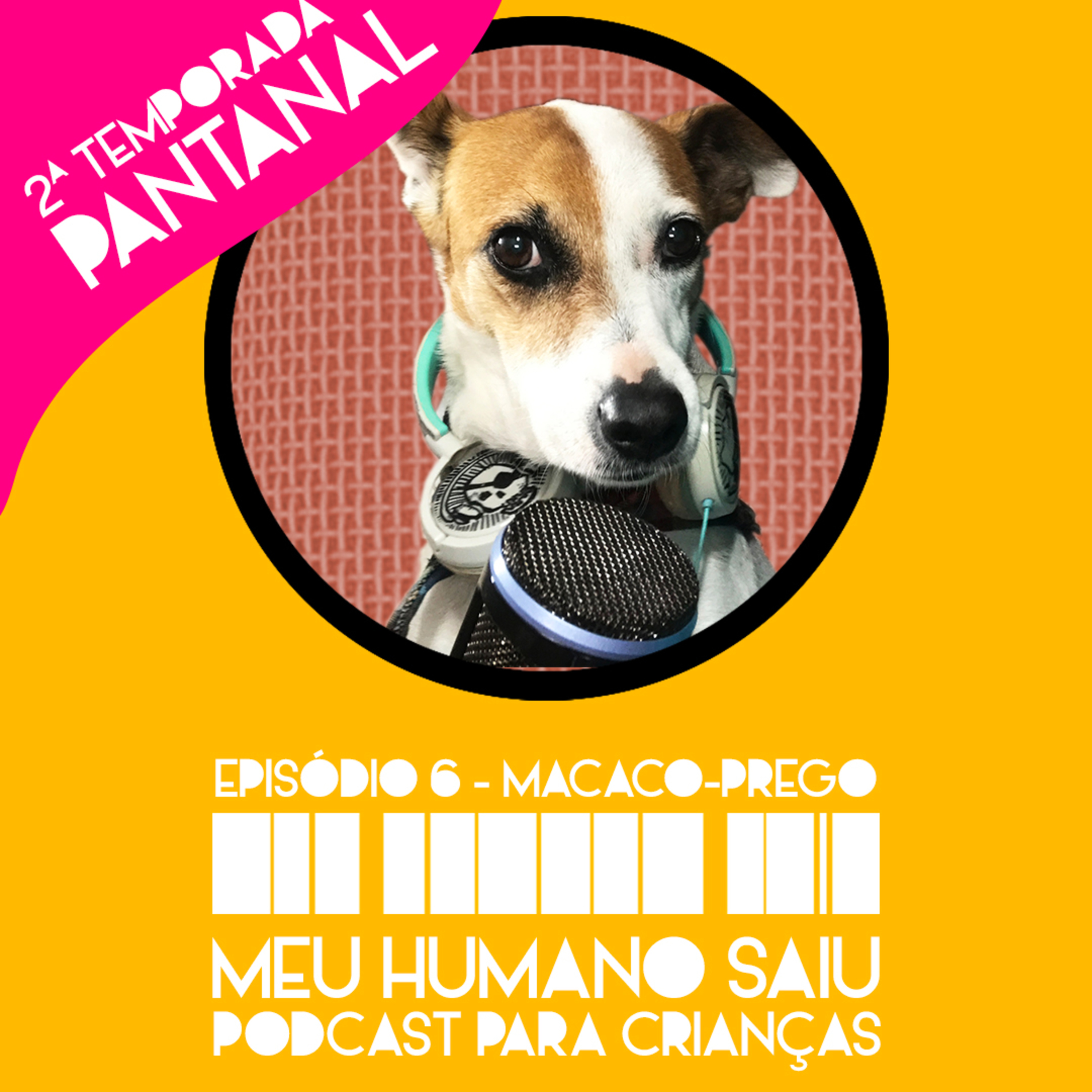Meu Humano Saiu