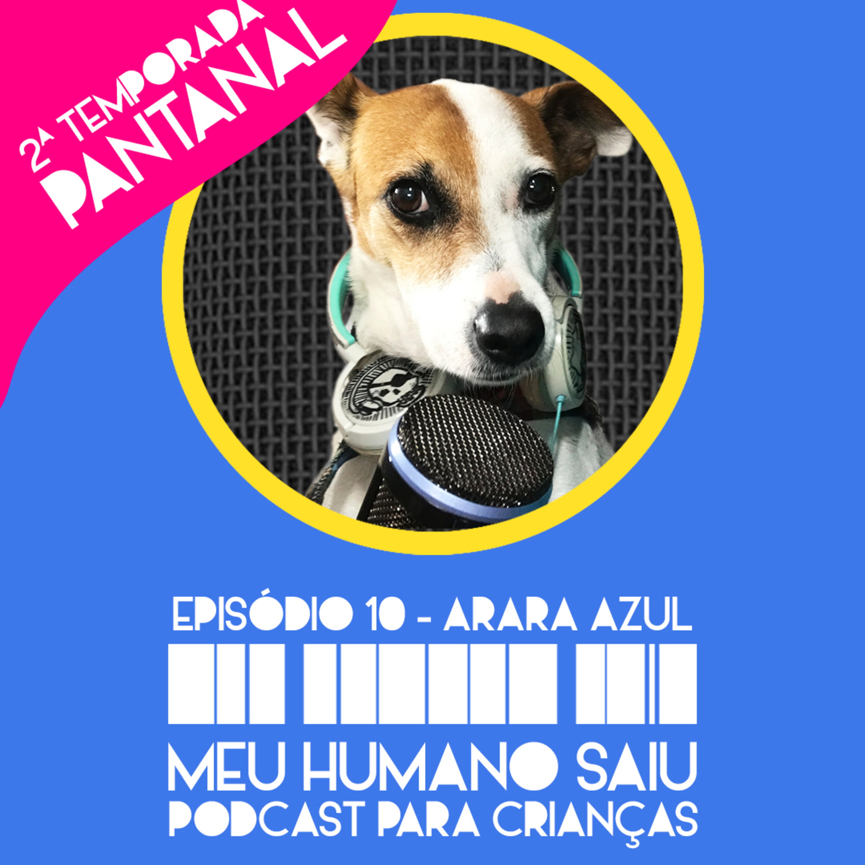 Meu Humano Saiu