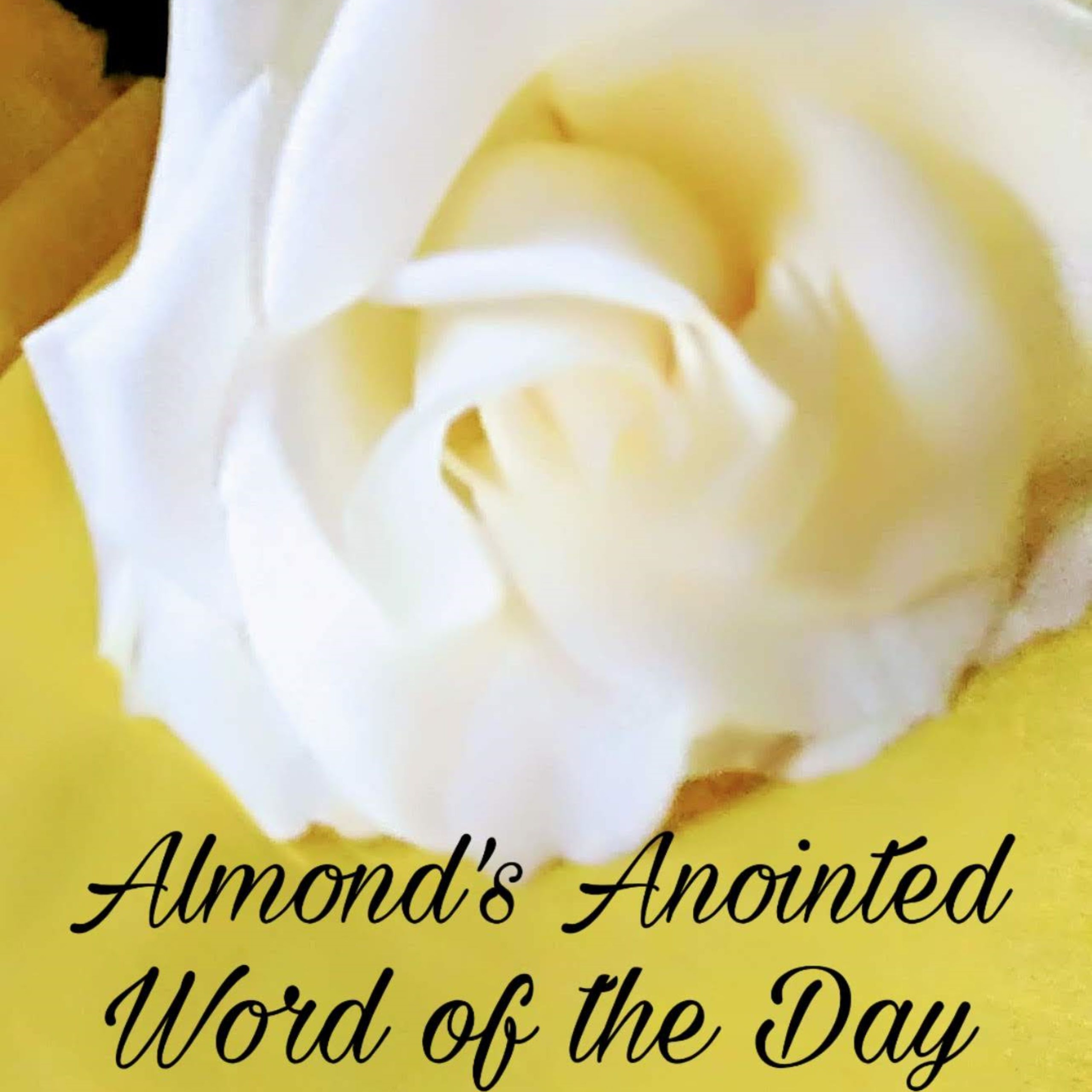 ALL THINGS ALMOND DELIGHTS