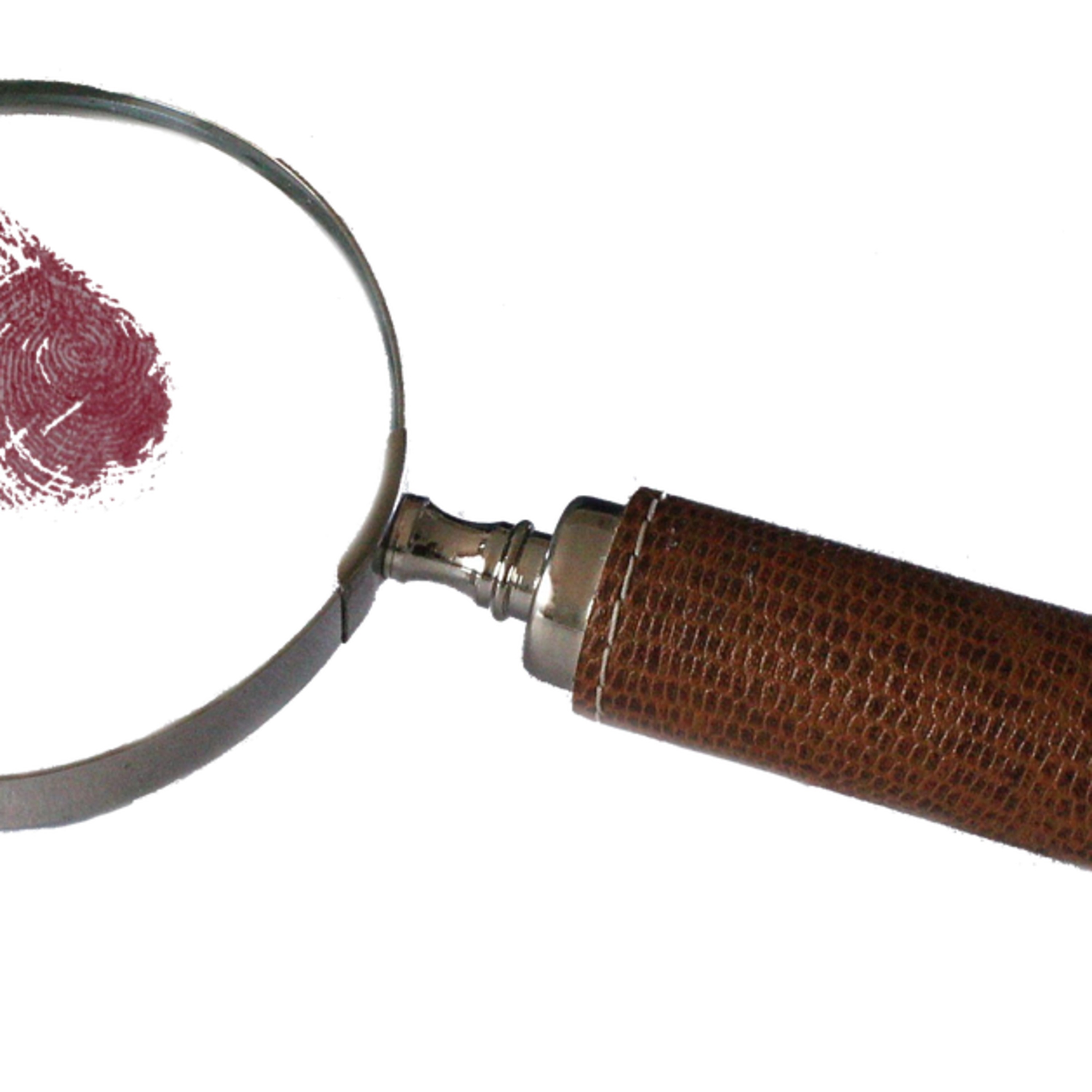 Evidence 101 Masterclass - From Torts to Tony Soprano episode artwork