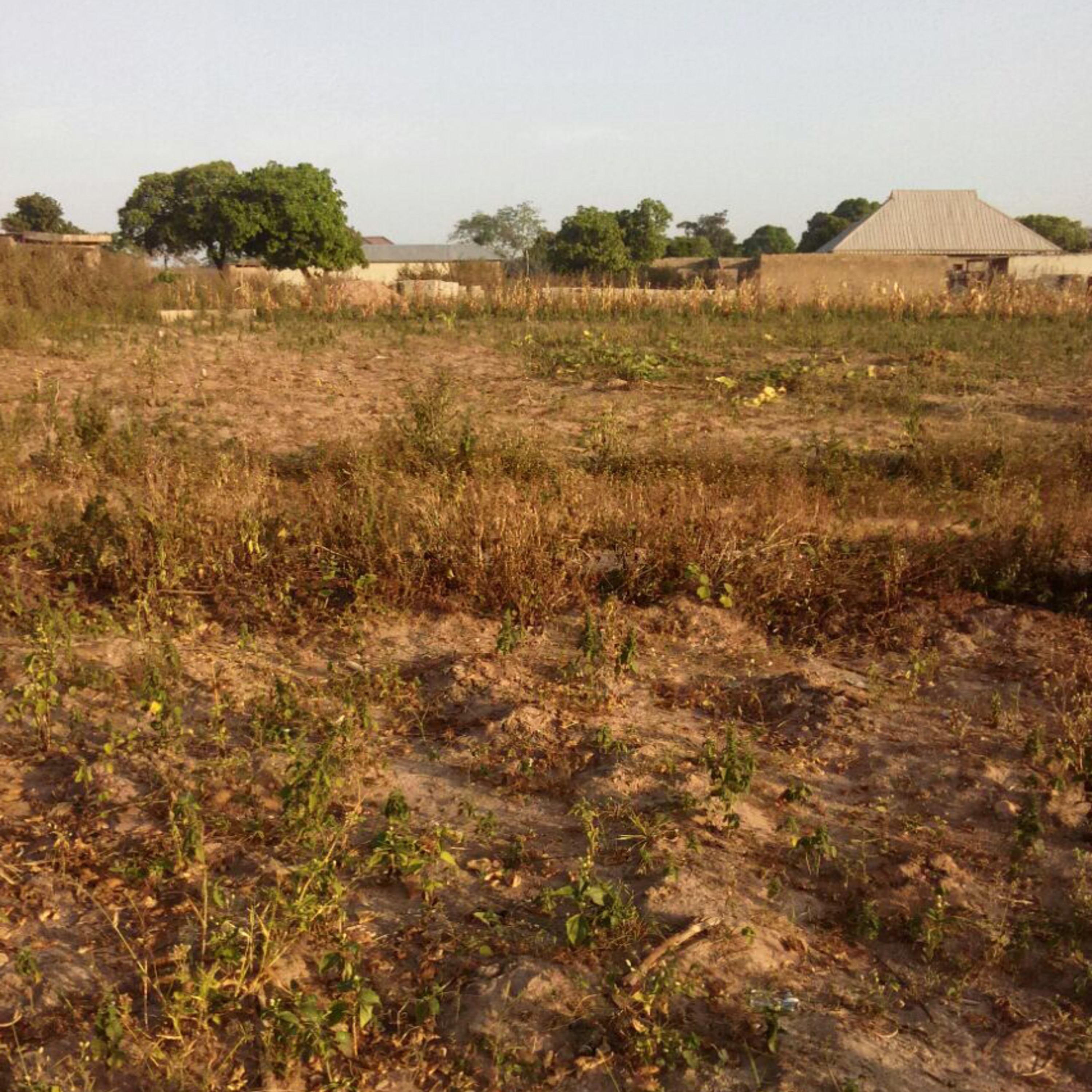 Nigeria Freedom Radio