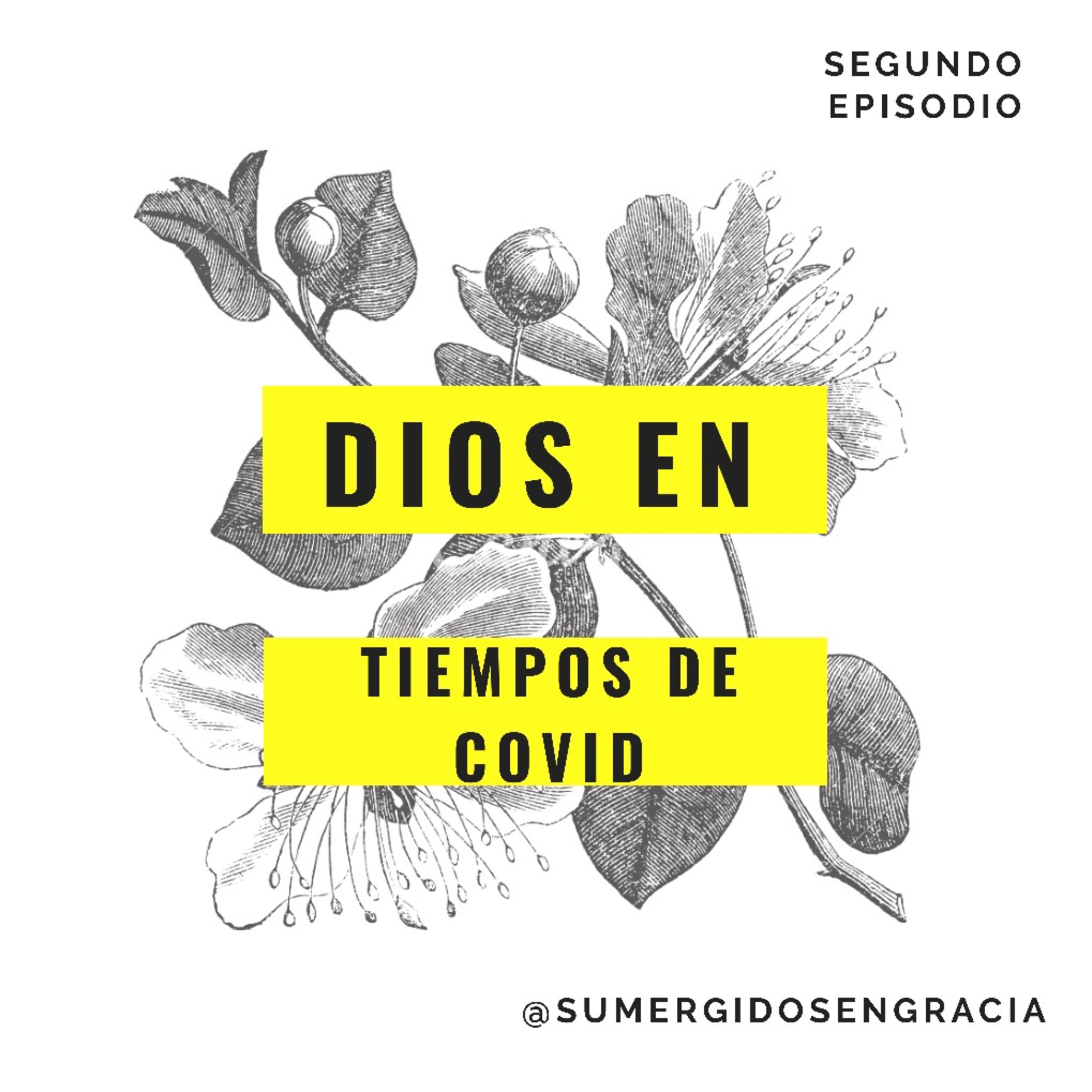 Sumergidos en gracia
