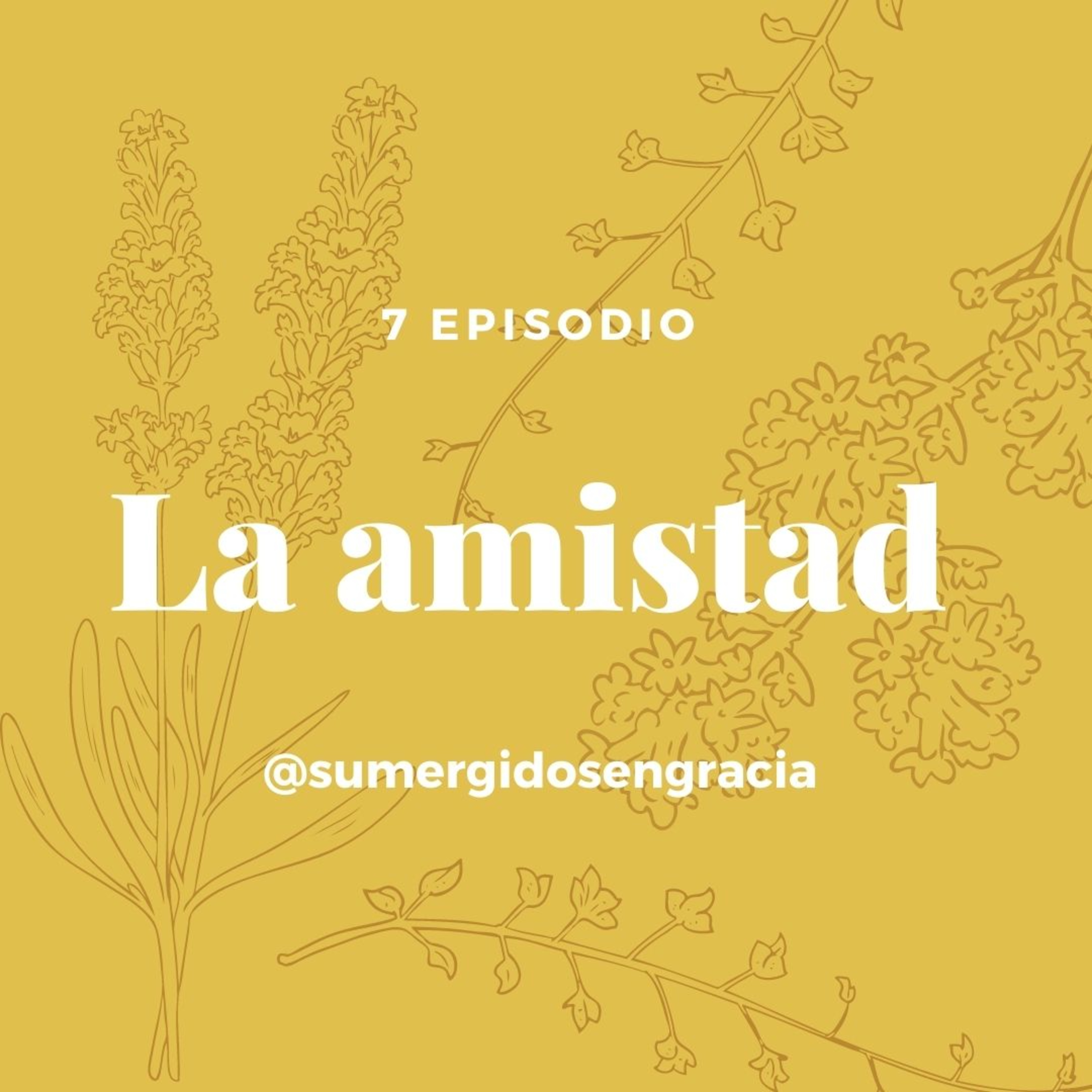 Sumergidos en gracia