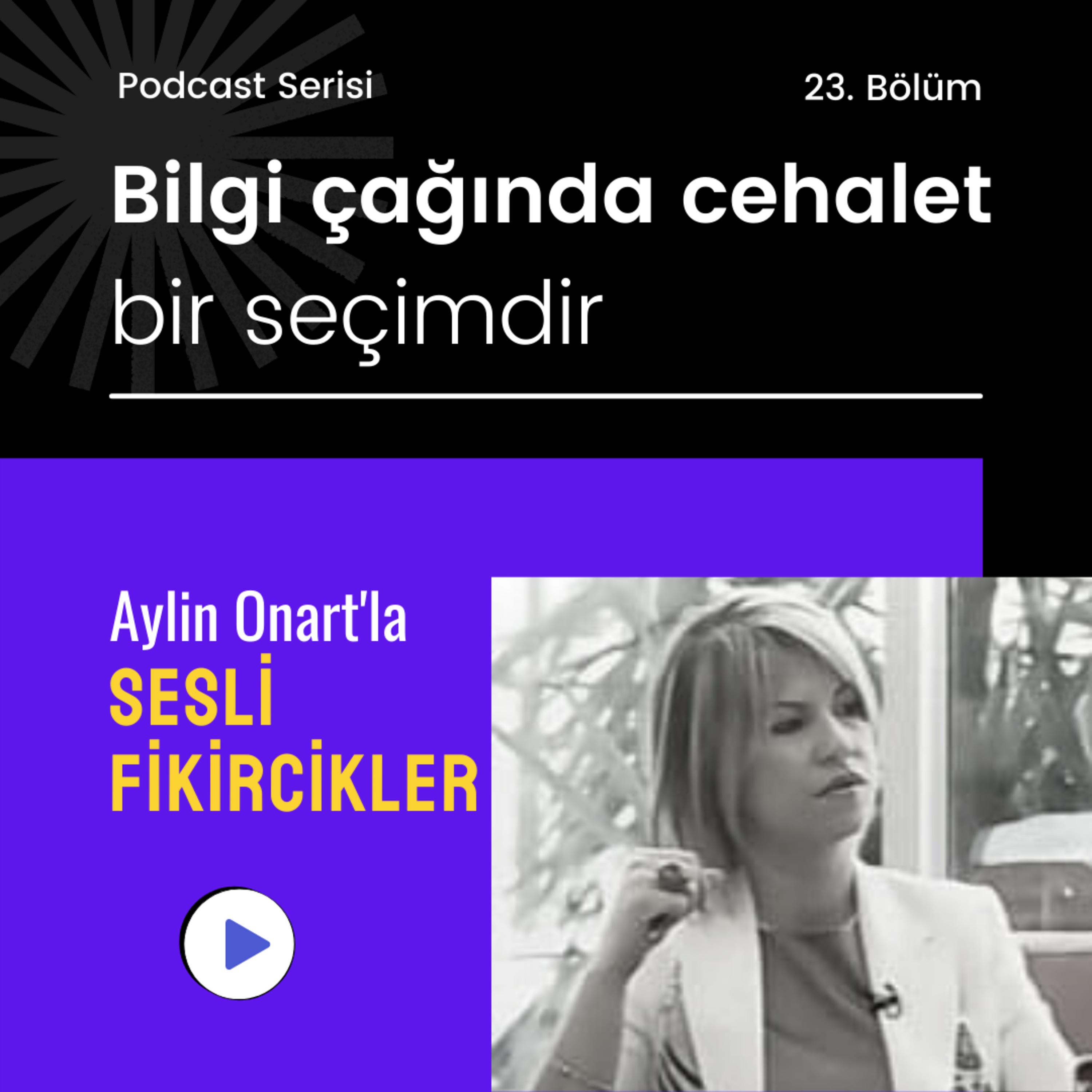 Aylin Onart\'la Sesli Fikircikler