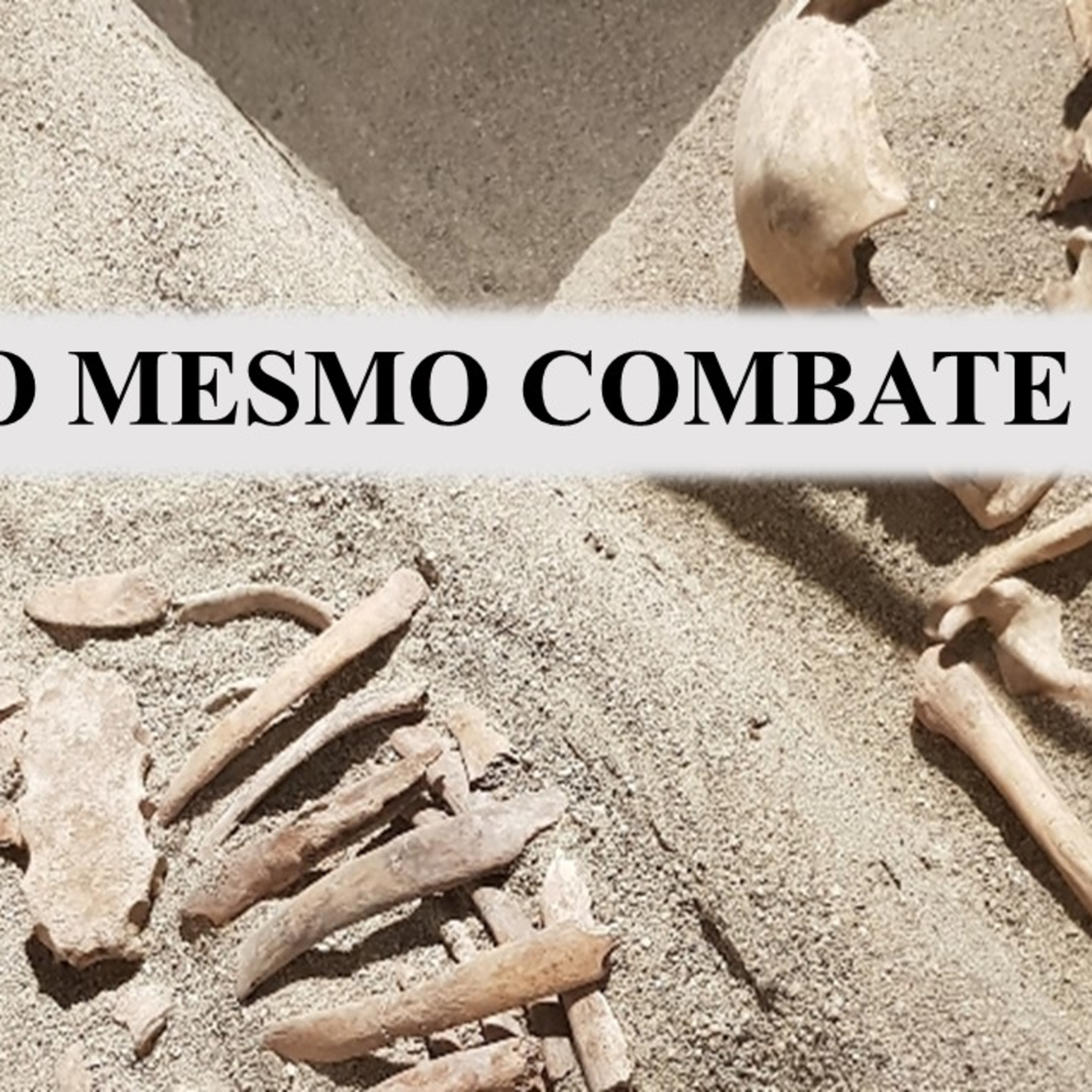 Devocional 14 de novembro #499