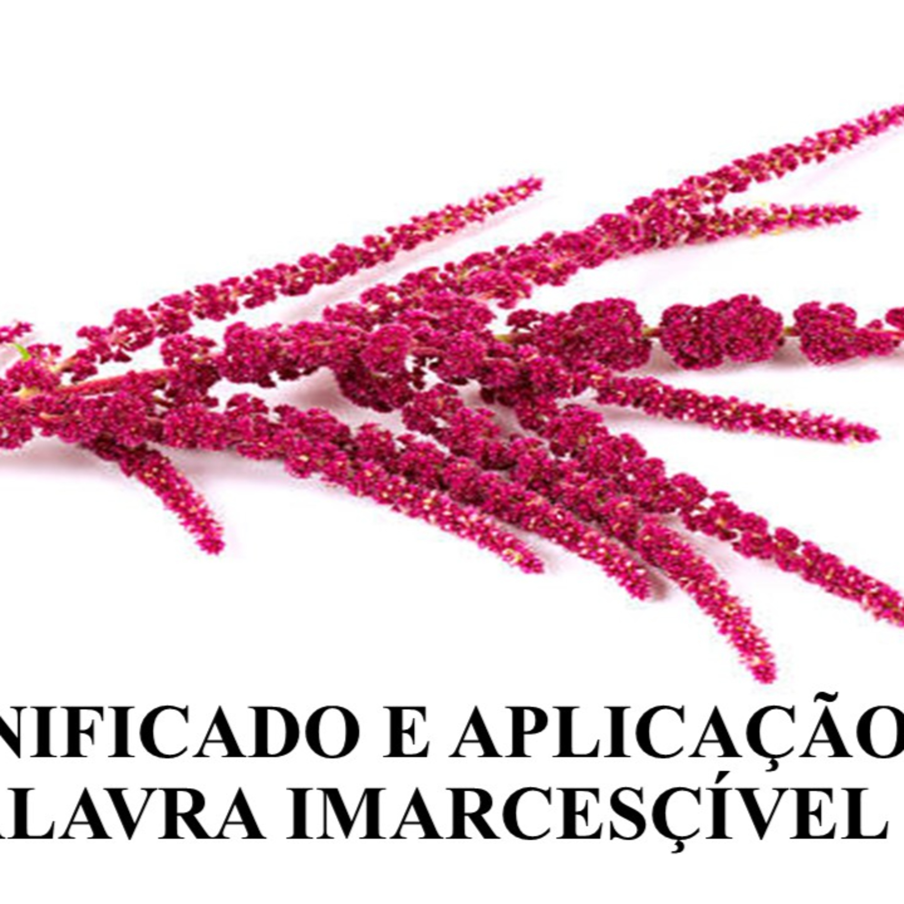Devocional 26 de setembro\22 episode artwork