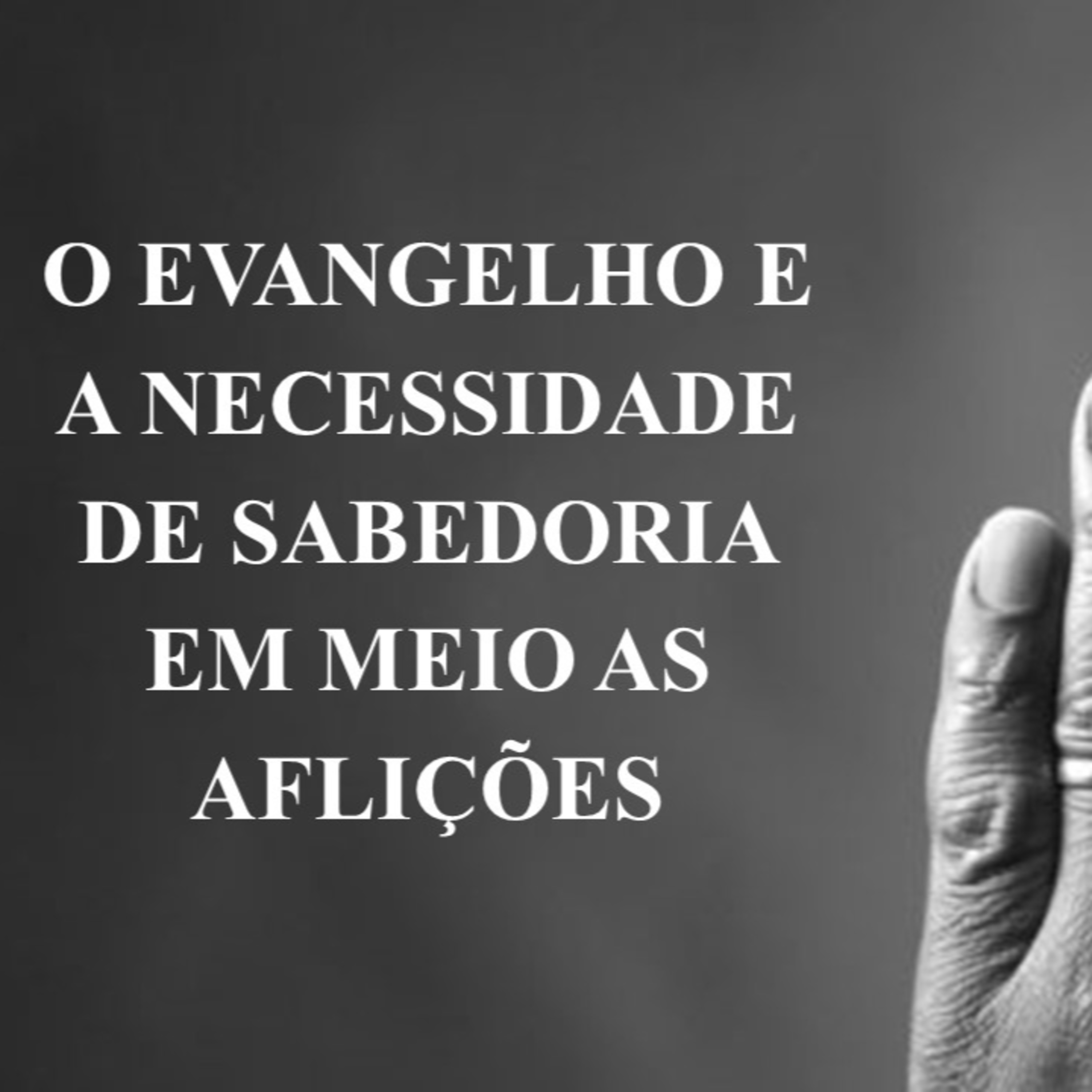 Devocional 29 de novembro\22