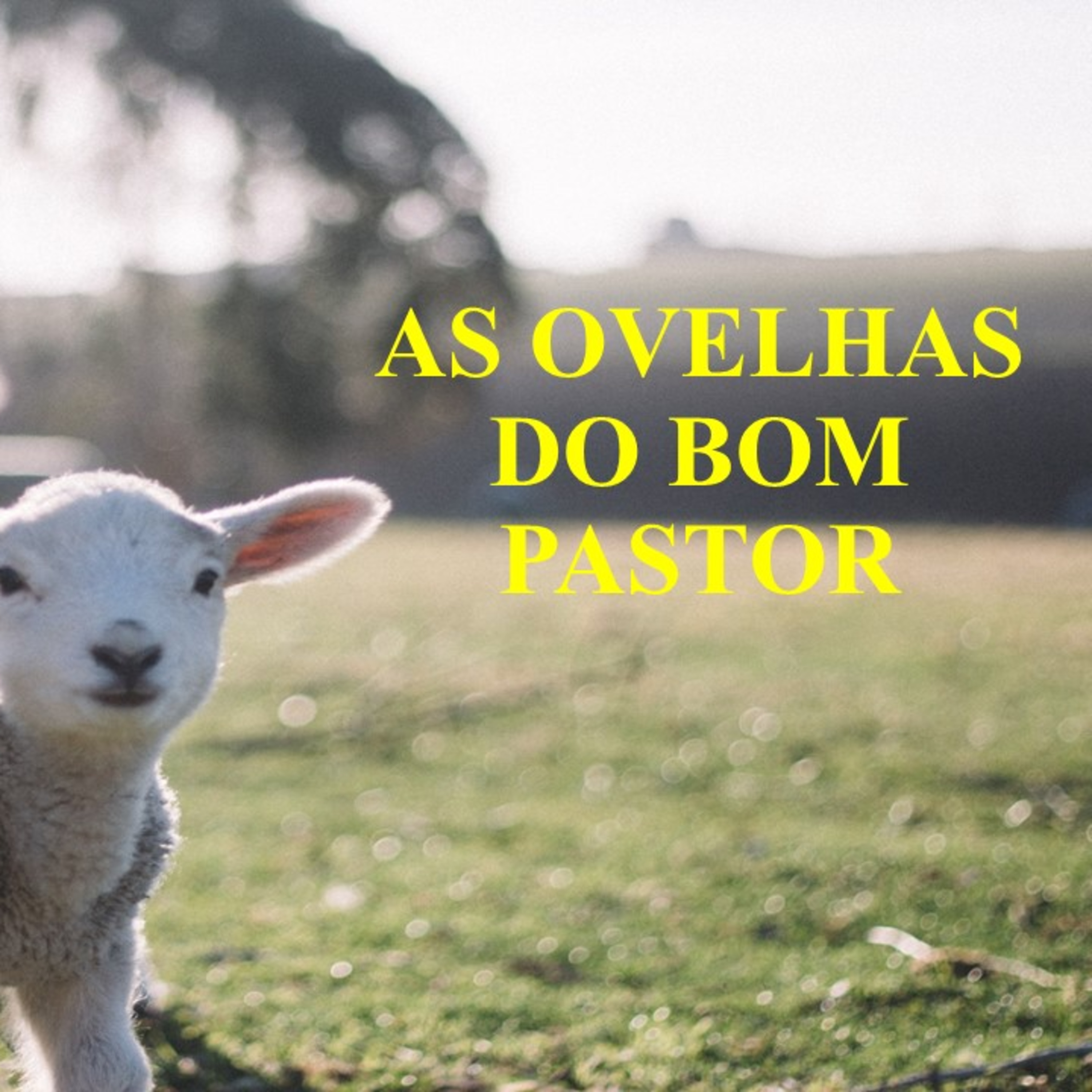 Devocional 16 de janeiro3 episode artwork