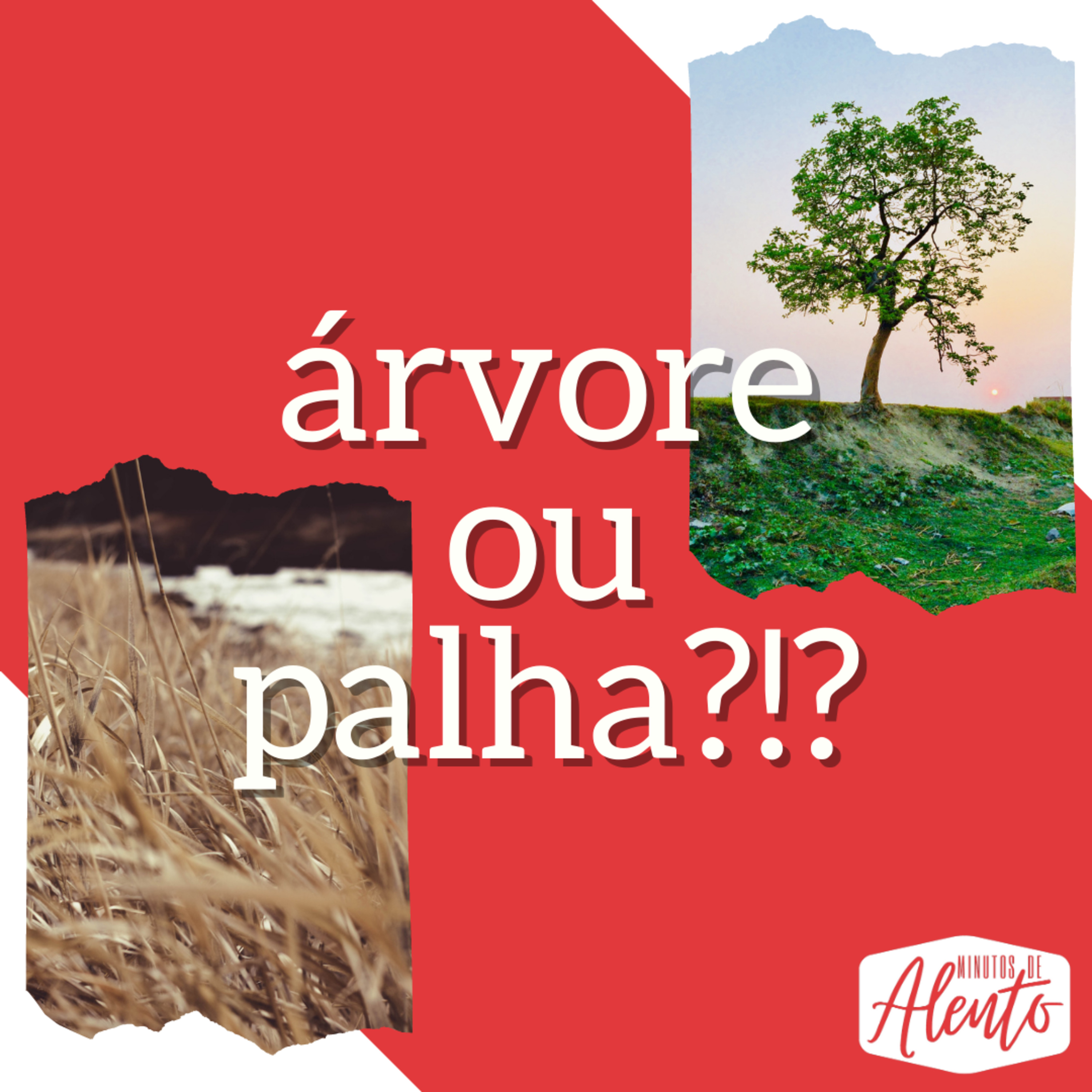 Minutos de Alento