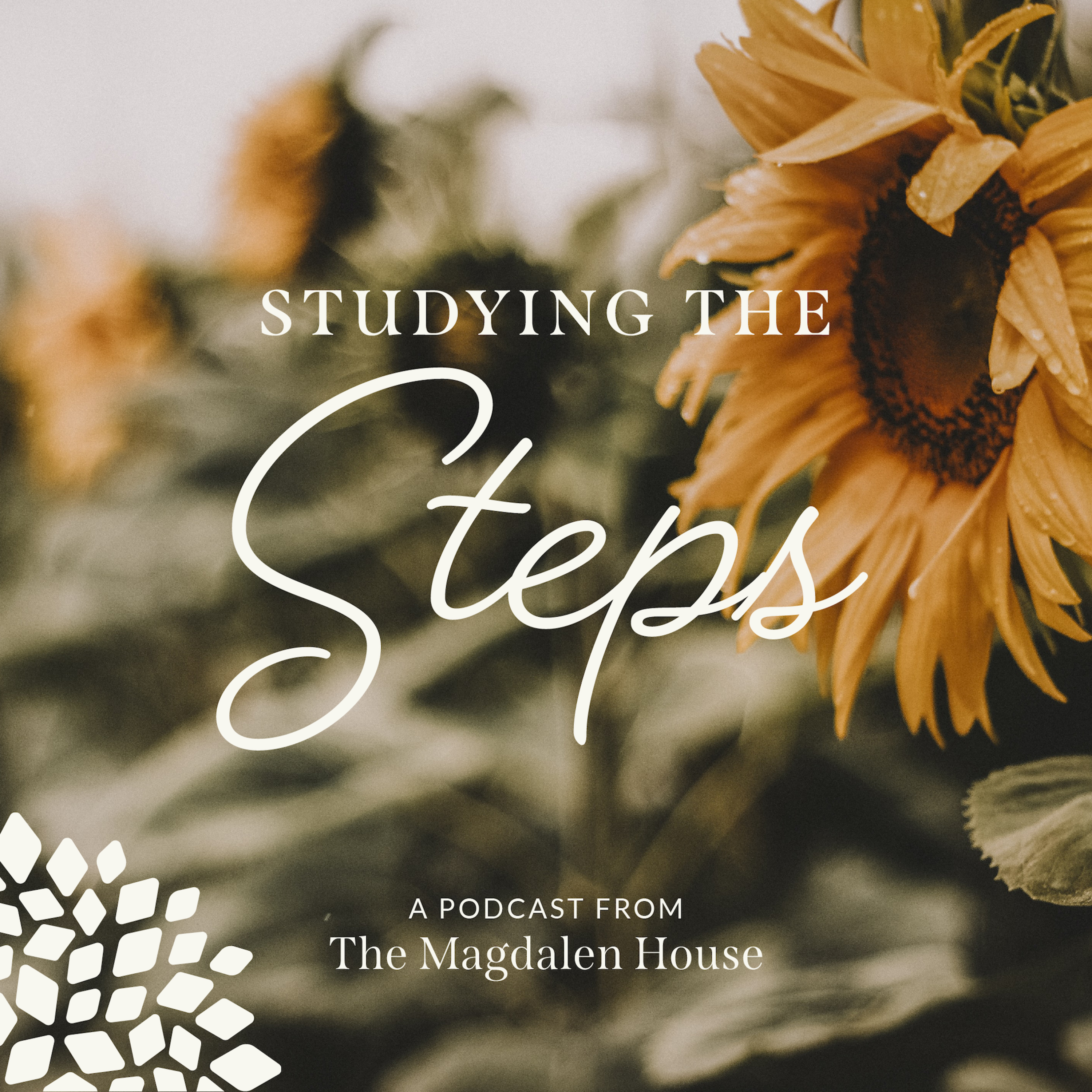 From the Vault: Step 12 with Tina S | Studying the Steps episode artwork