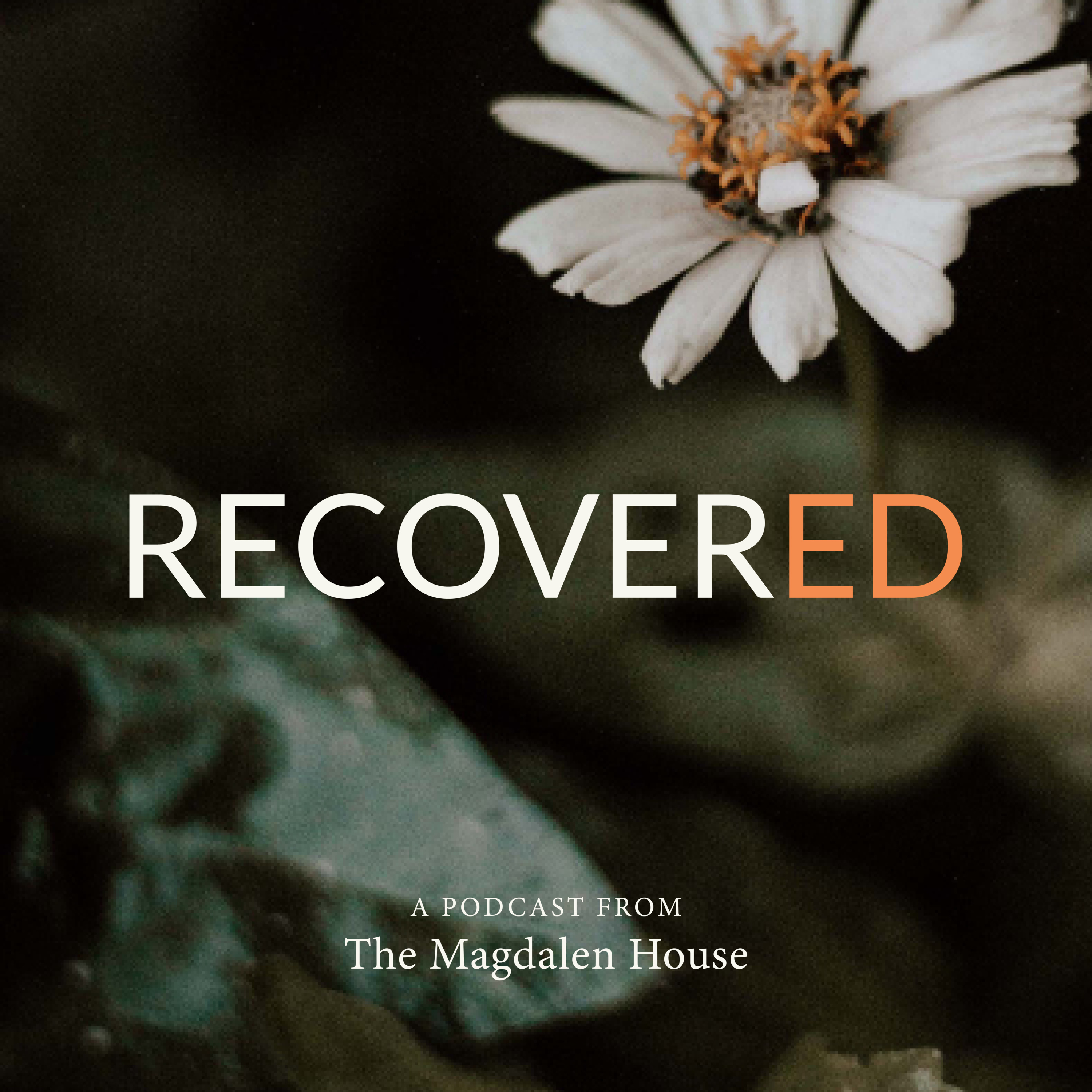 From the Vault: Five Things We Should Stop Saying to Alcoholics | RecoverED episode artwork