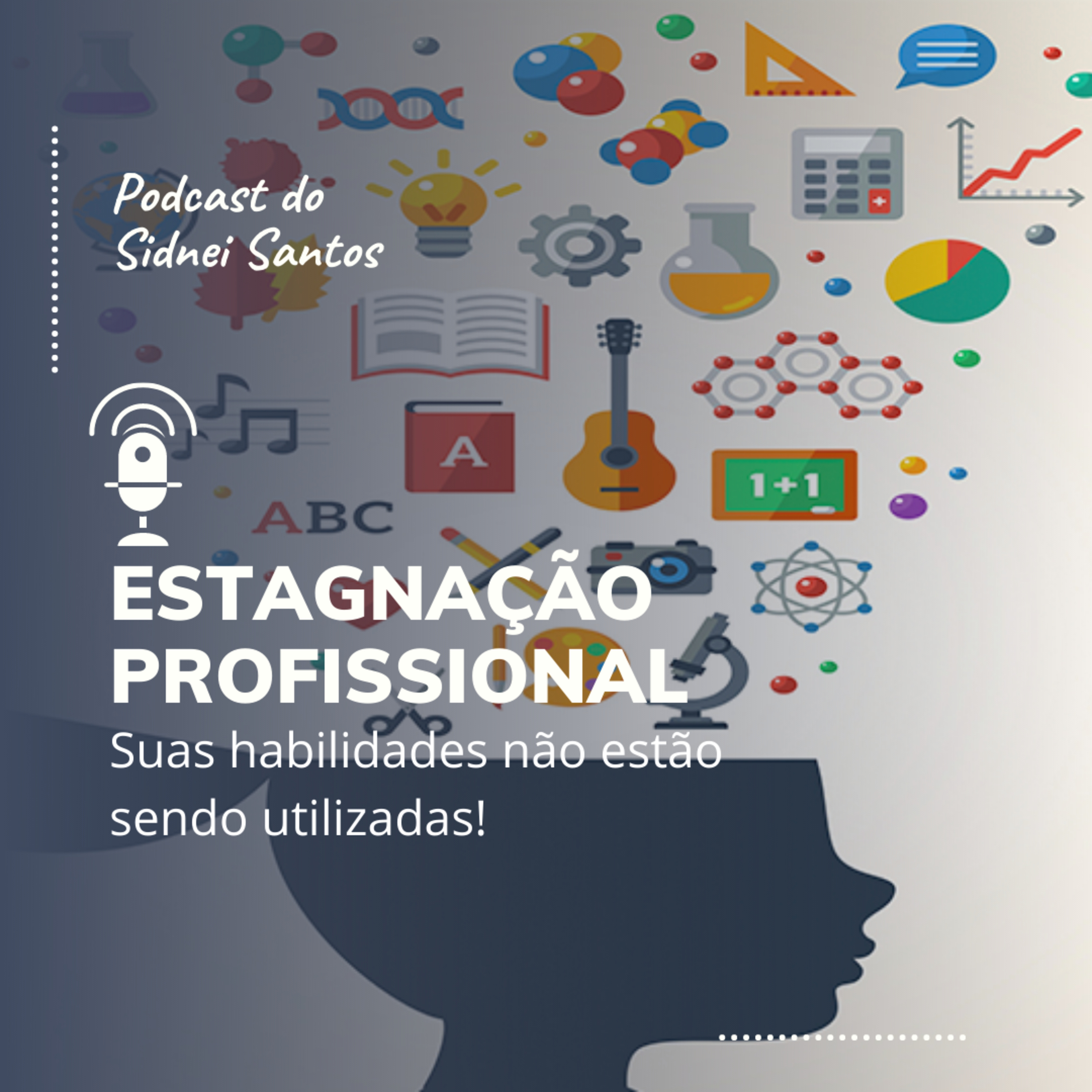 Carreira e Evolução com Sidnei Santos