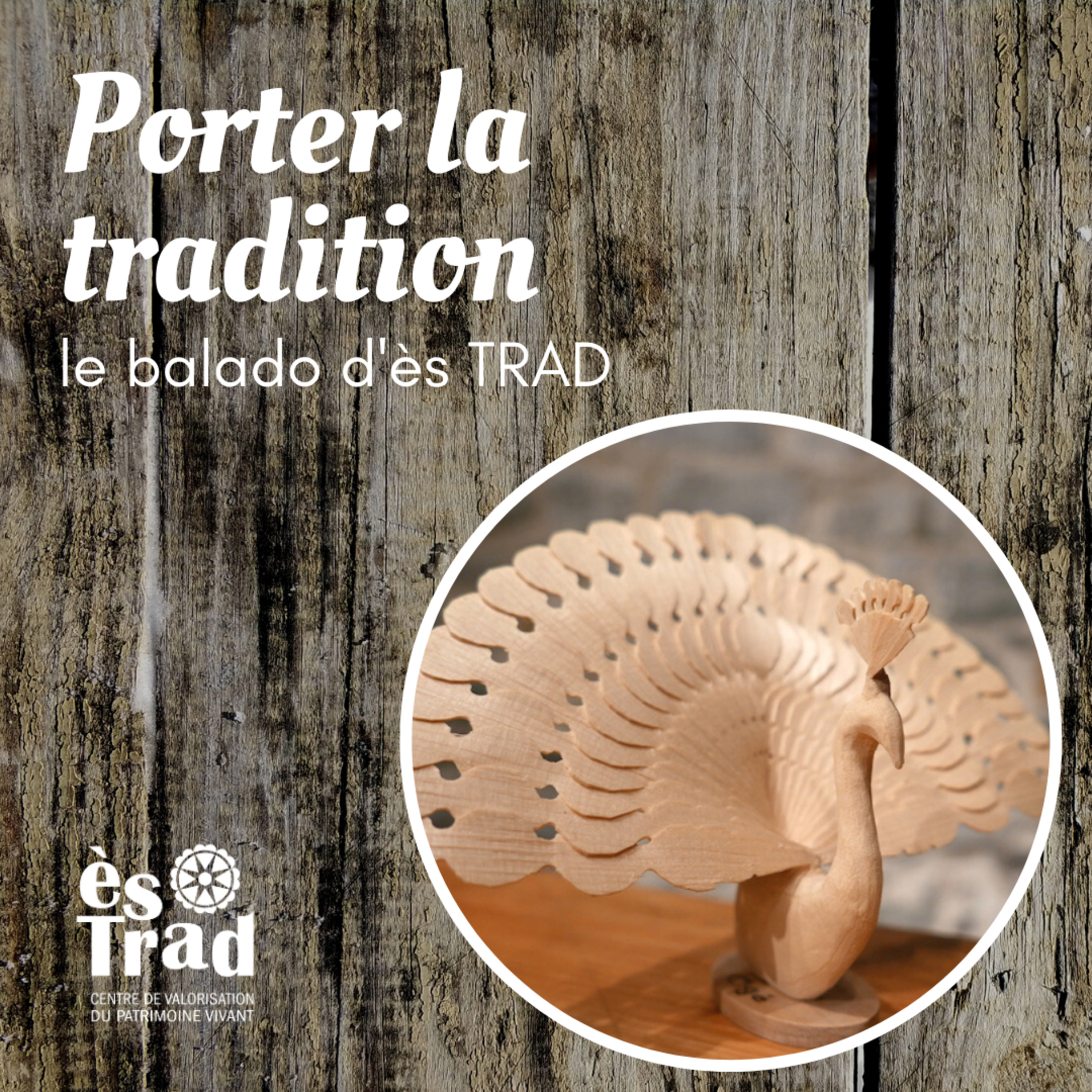 À la rencontre de Claude Auger (sculpture sur bois)
