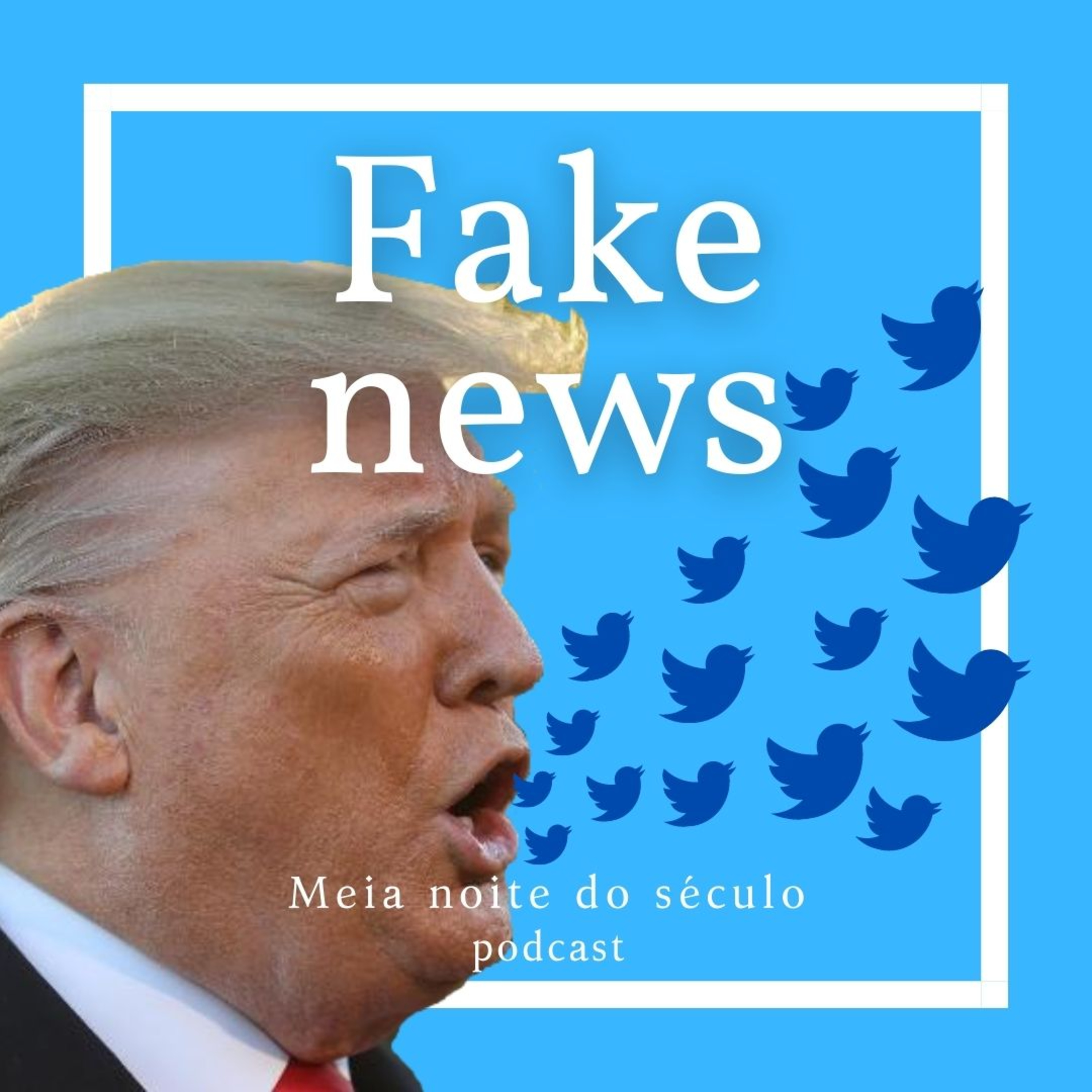 Meia noite do século