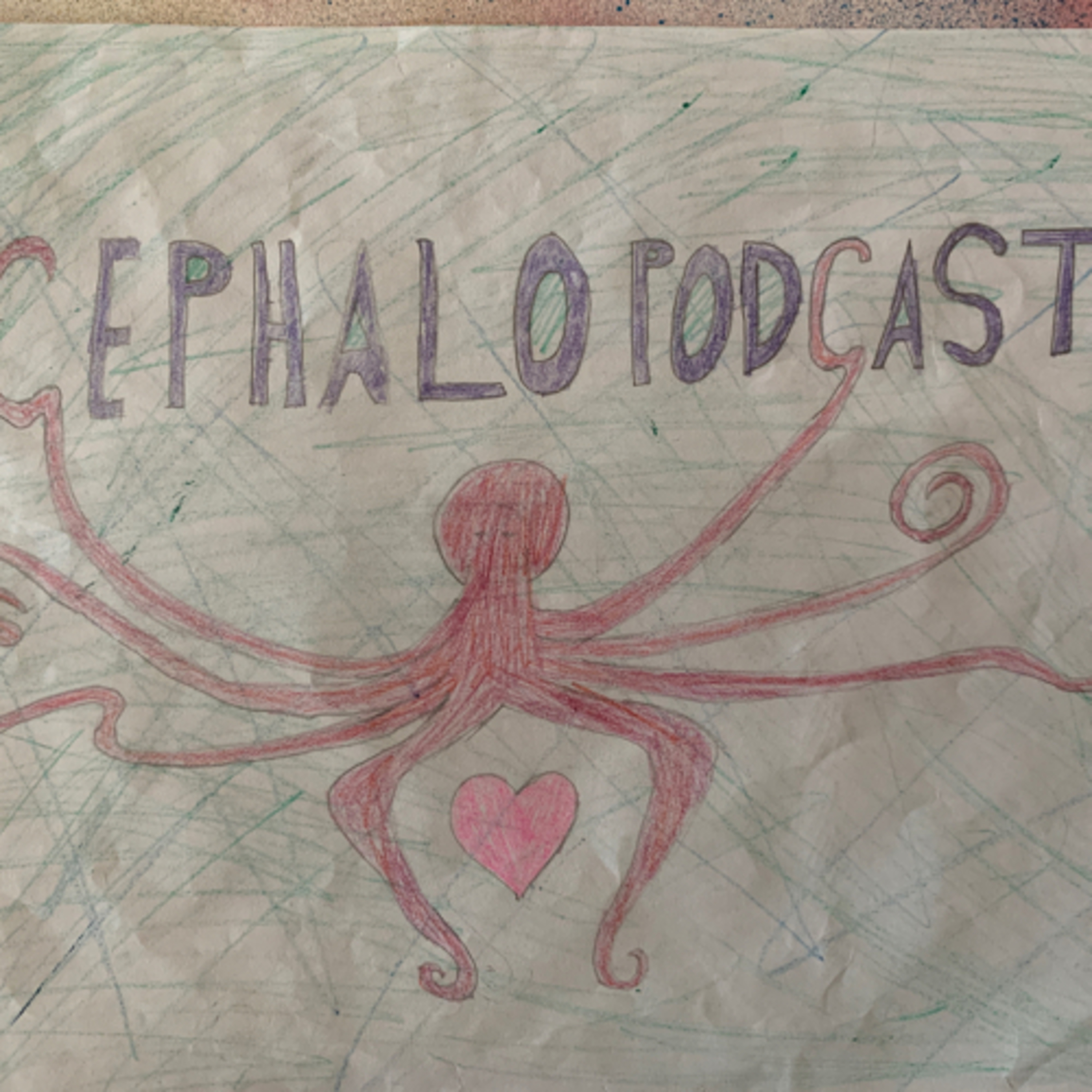 Today will be all about what is a cephalopod