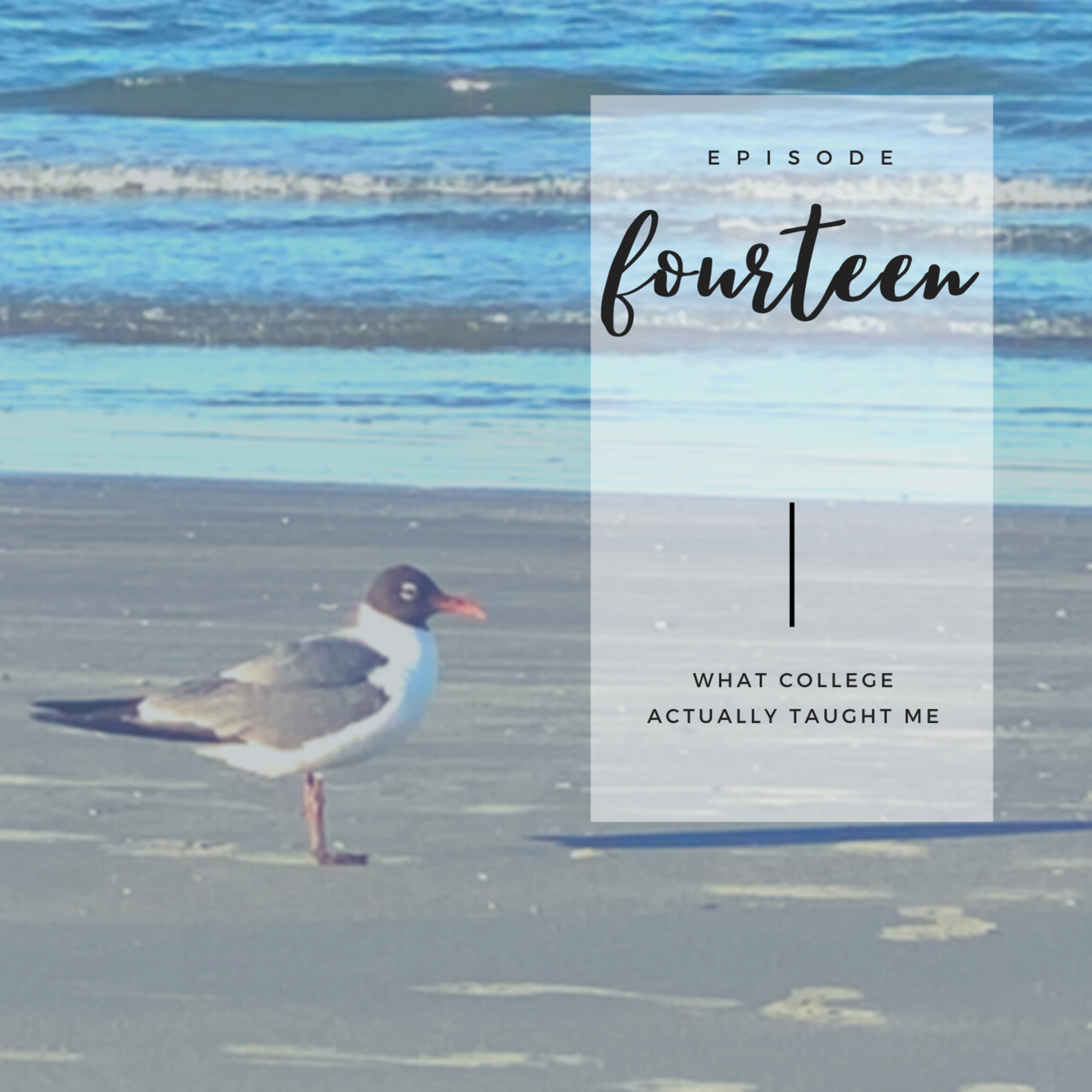 episode fourteen: what college ACTUALLY taught me episode artwork
