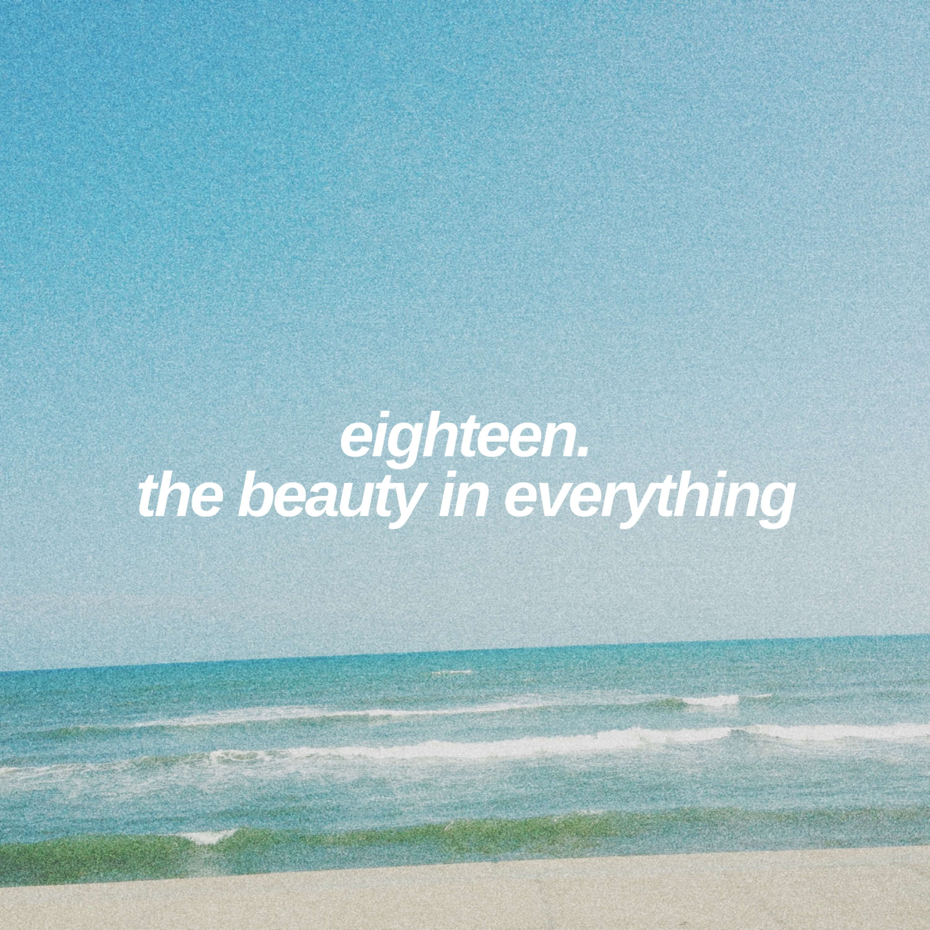 episode eighteen: the beauty in everything  episode artwork