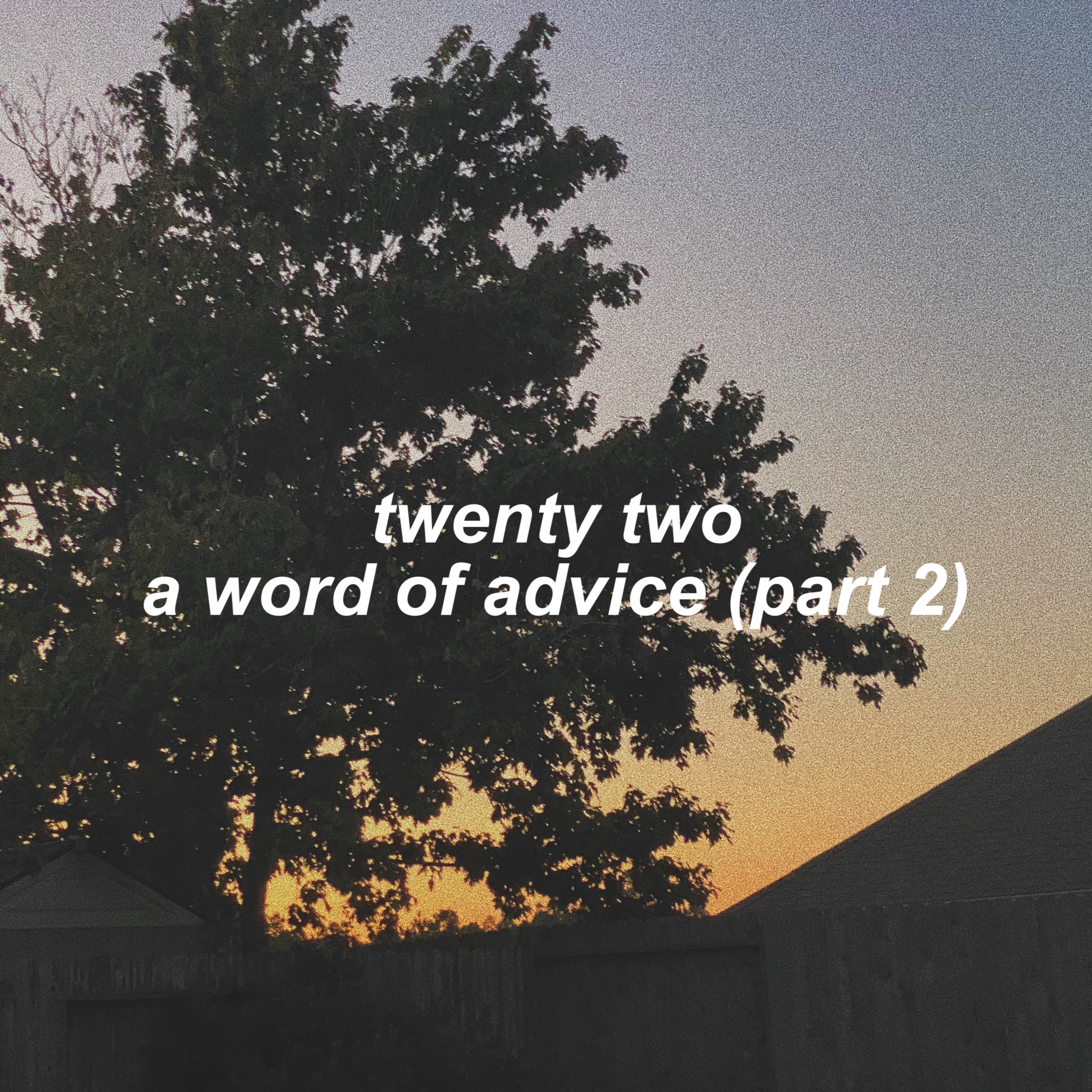 episode twenty two: a word of advice from yours truly (part 2) episode artwork