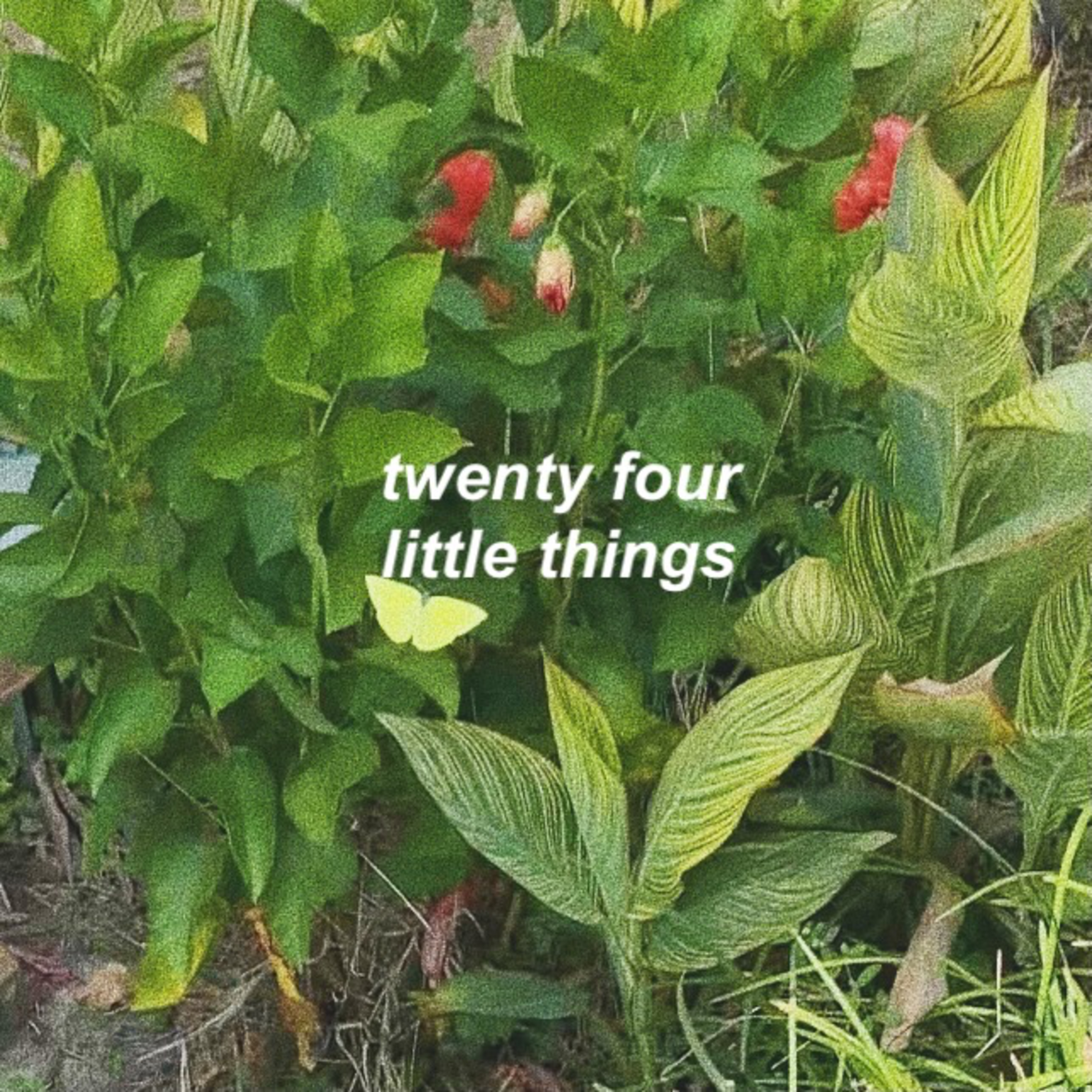episode twenty four: the little things  episode artwork