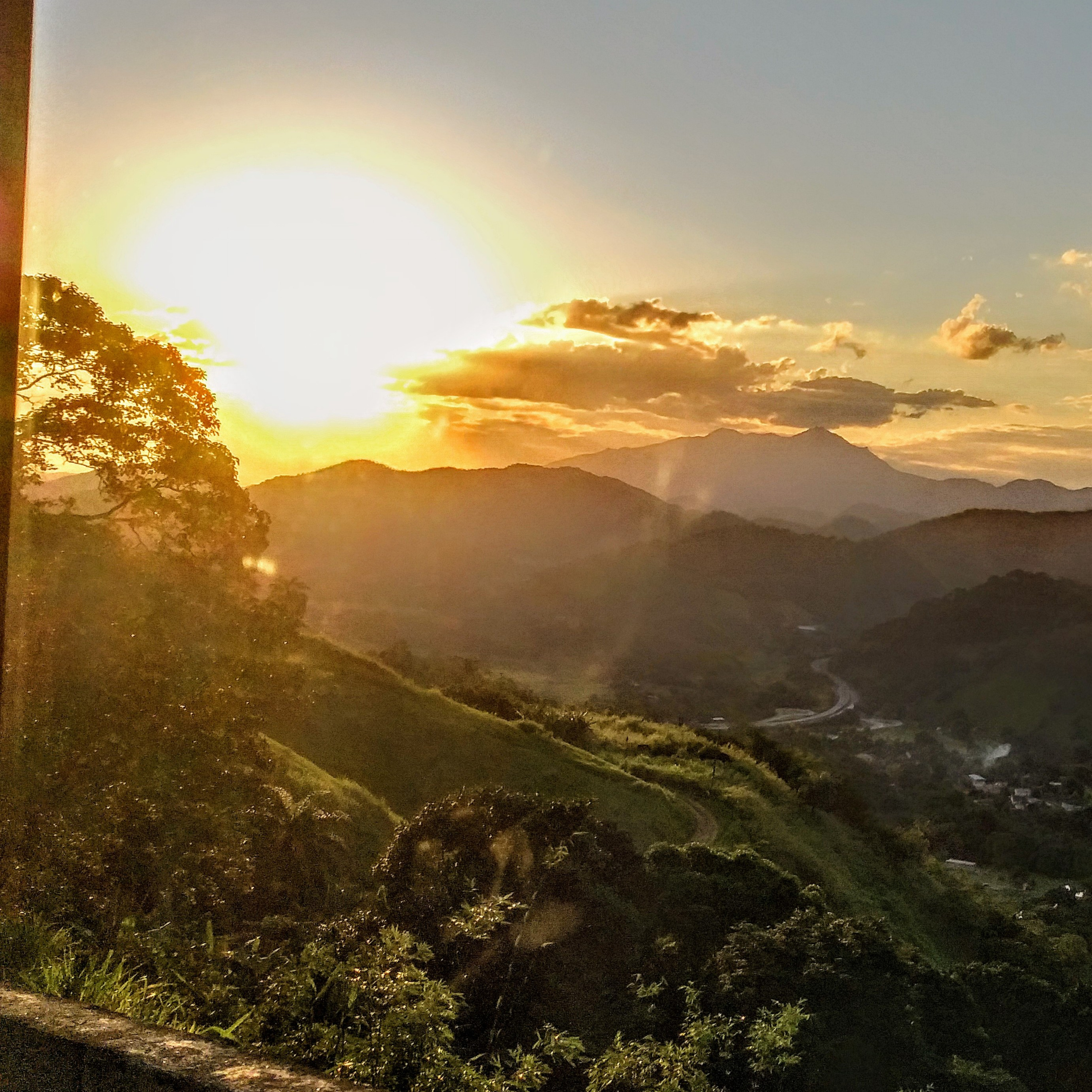 Letras e Voz