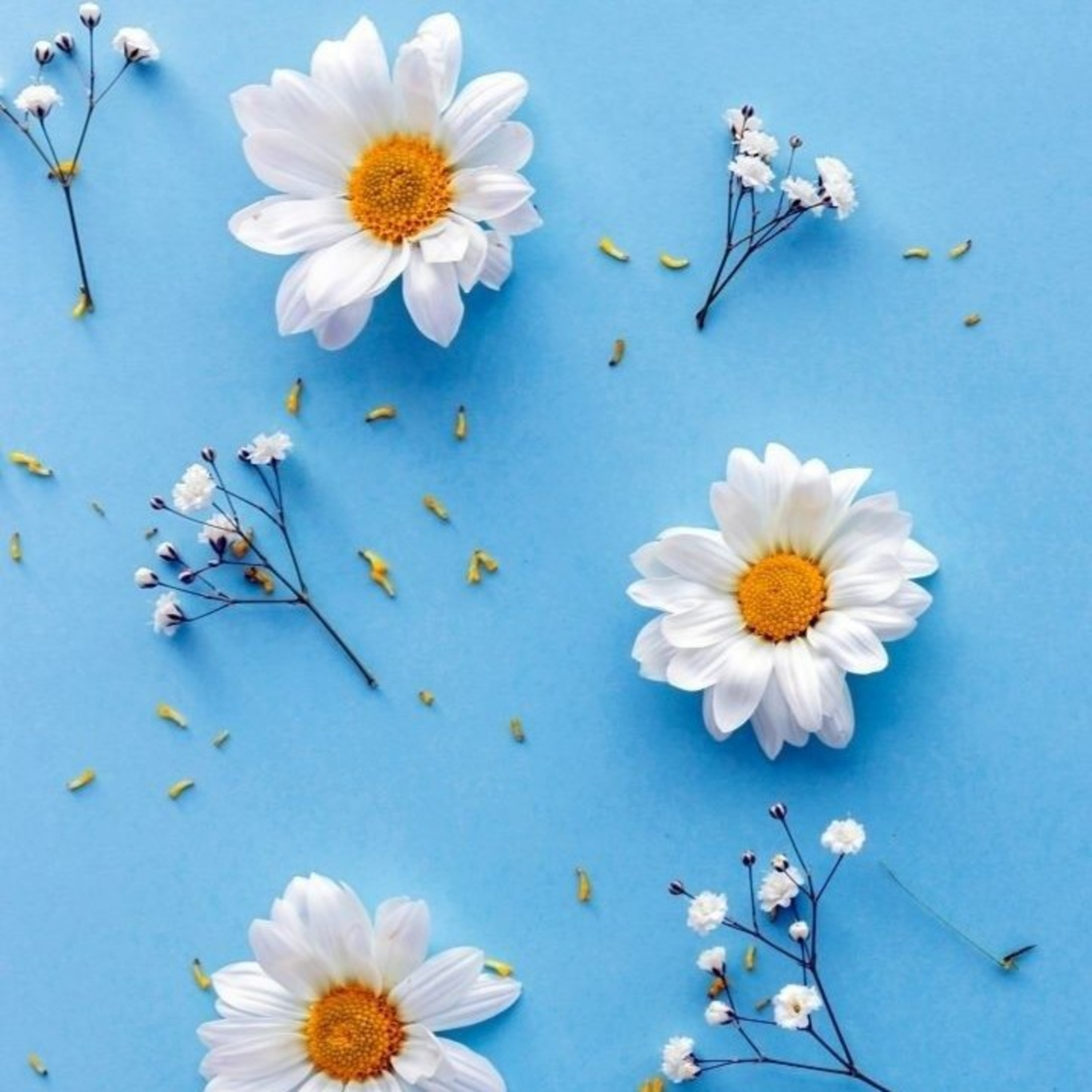 Veronica Estrada > Hora De Despertar