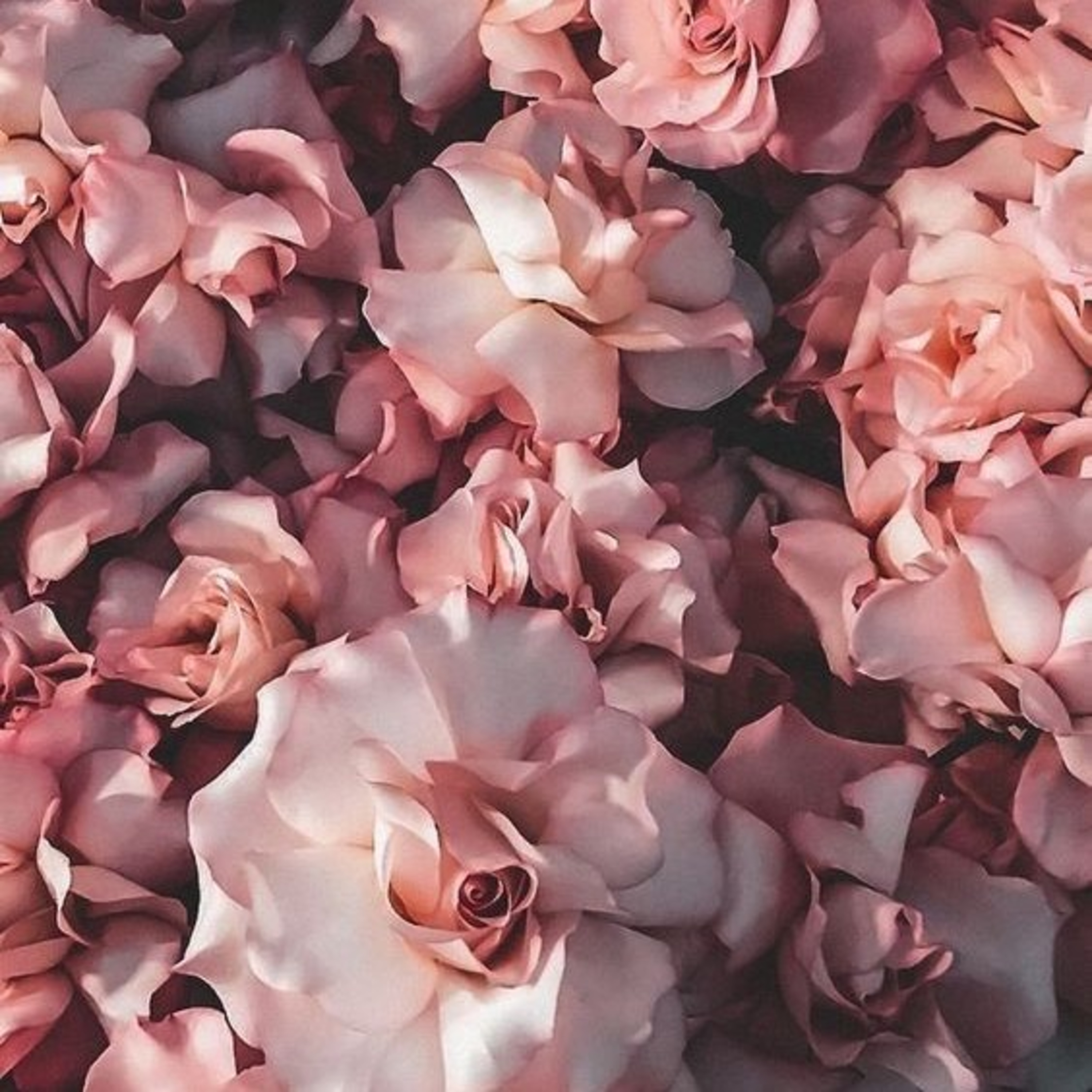 Veronica Estrada > Hora De Despertar