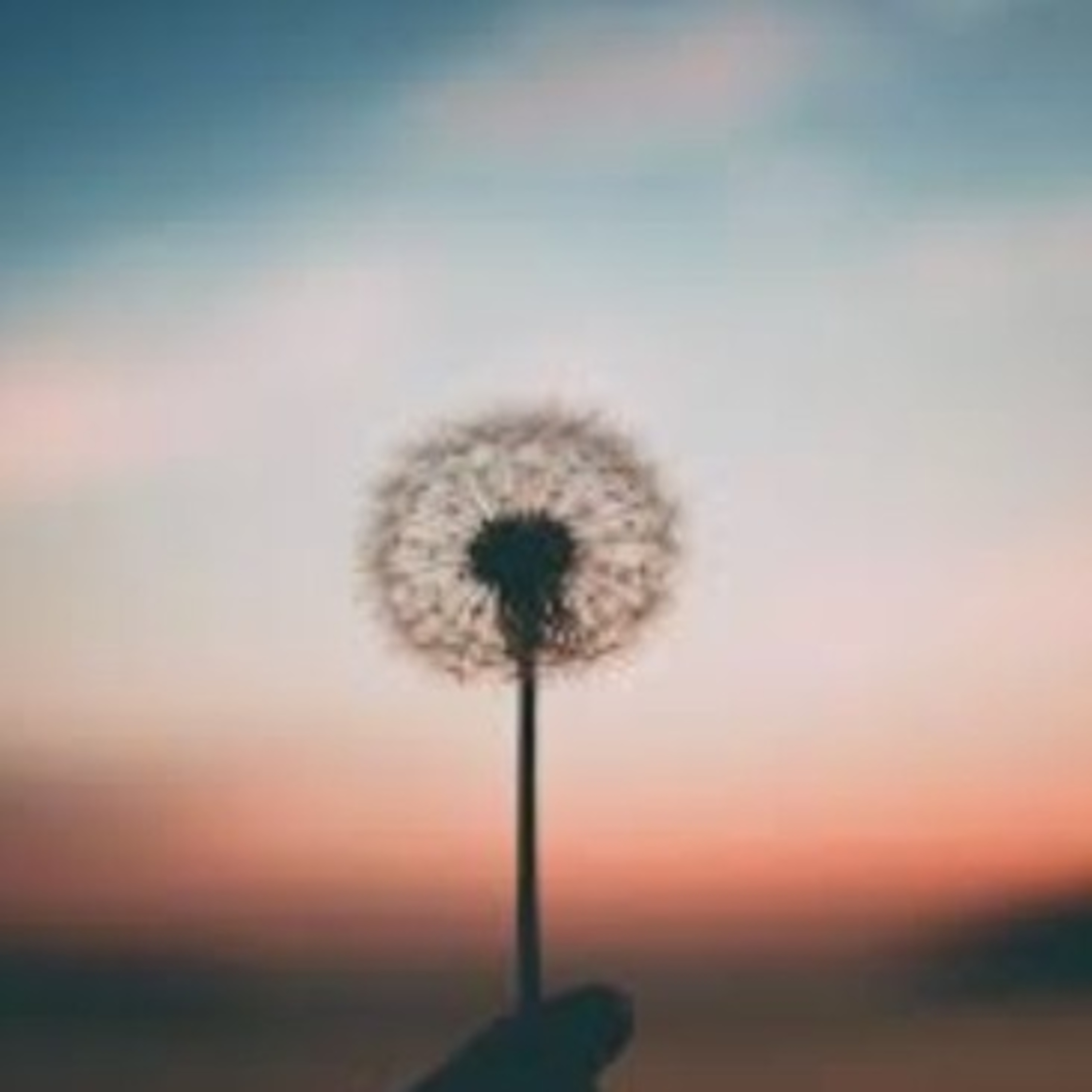 Veronica Estrada > Hora De Despertar