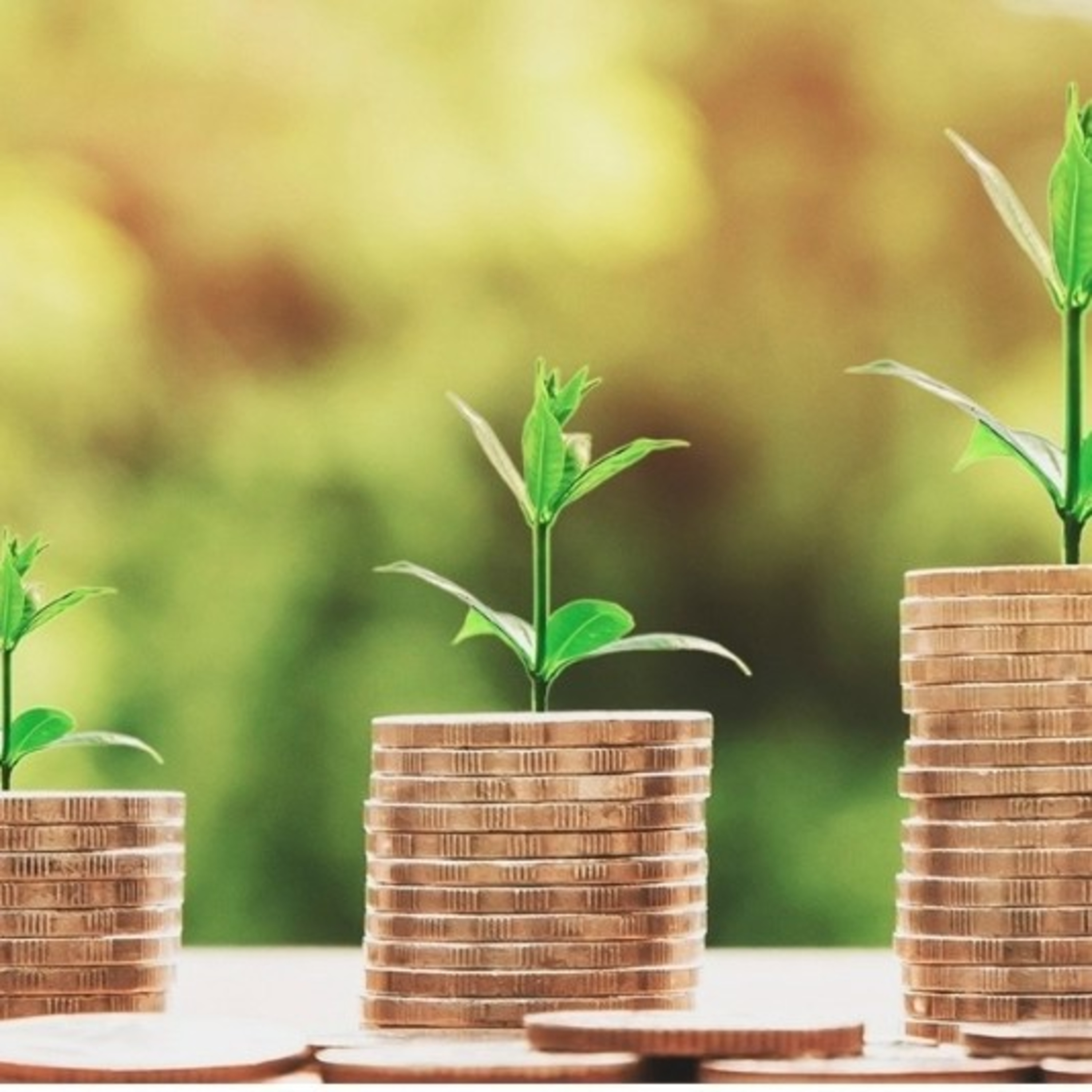 Veronica Estrada > Hora De Despertar