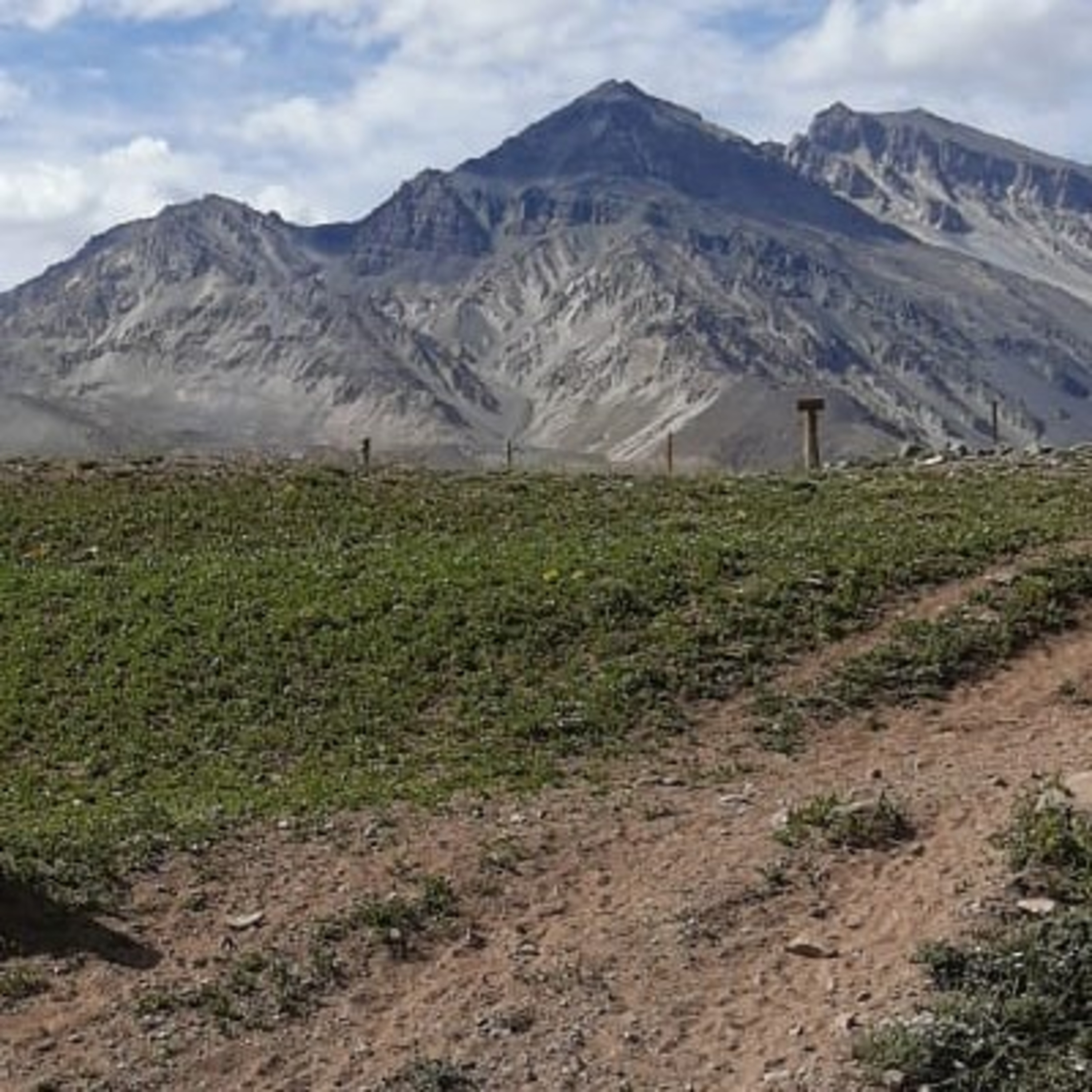 Veronica Estrada > Hora De Despertar