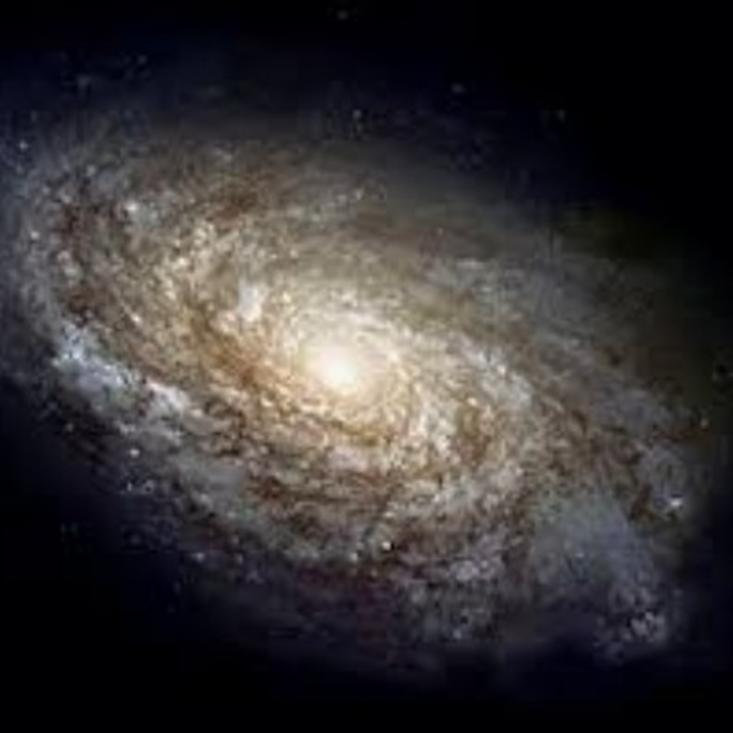 Veronica Estrada > Hora De Despertar