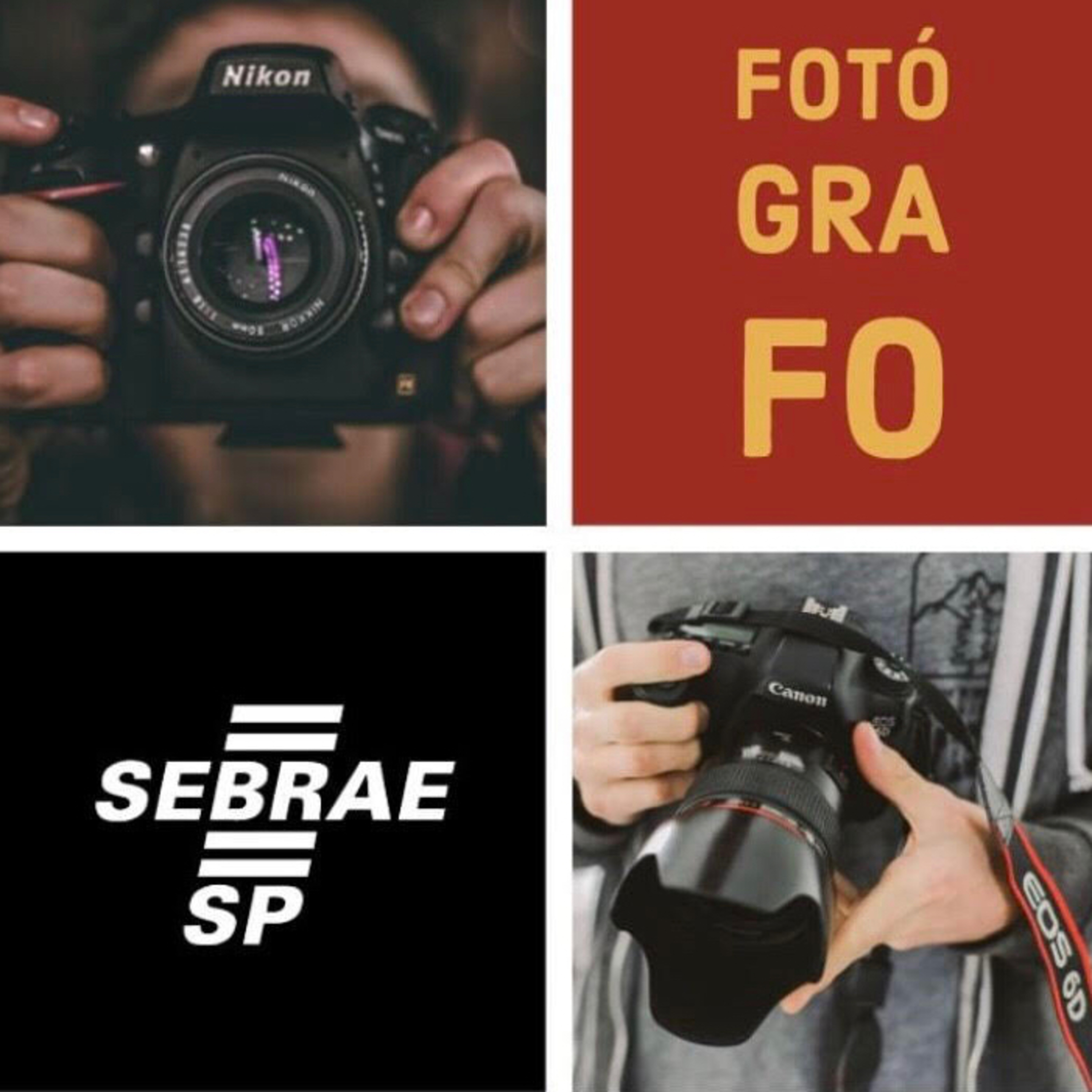 ENF: Sebrae diz que a fotografia é um bom negócio em 2019 episode artwork