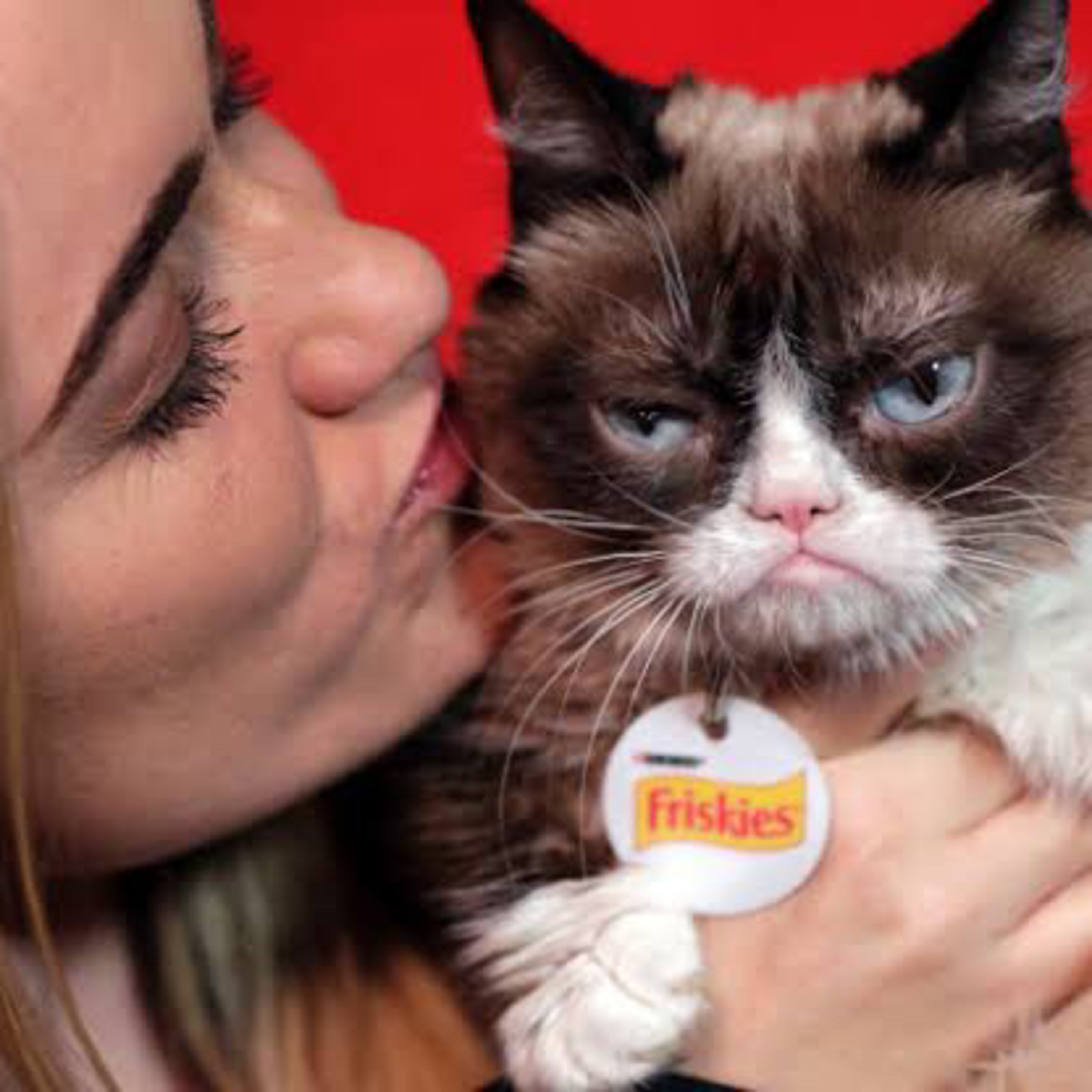 Grumpy Cat e o fator sorte nos negócios  episode artwork