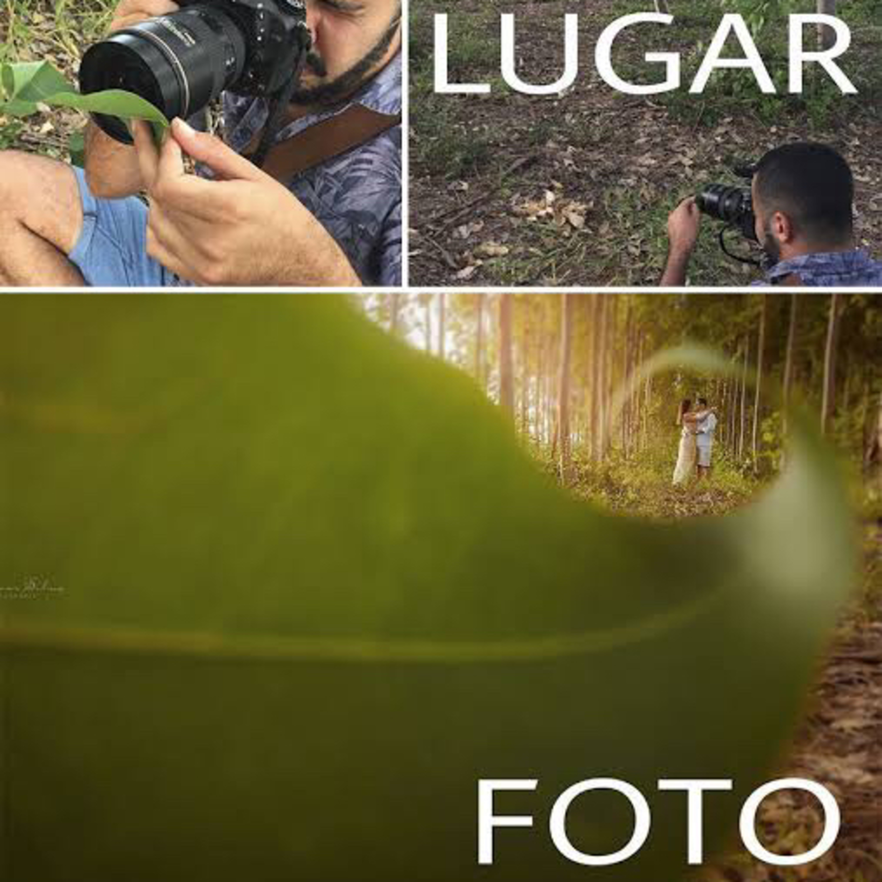 NFoTo