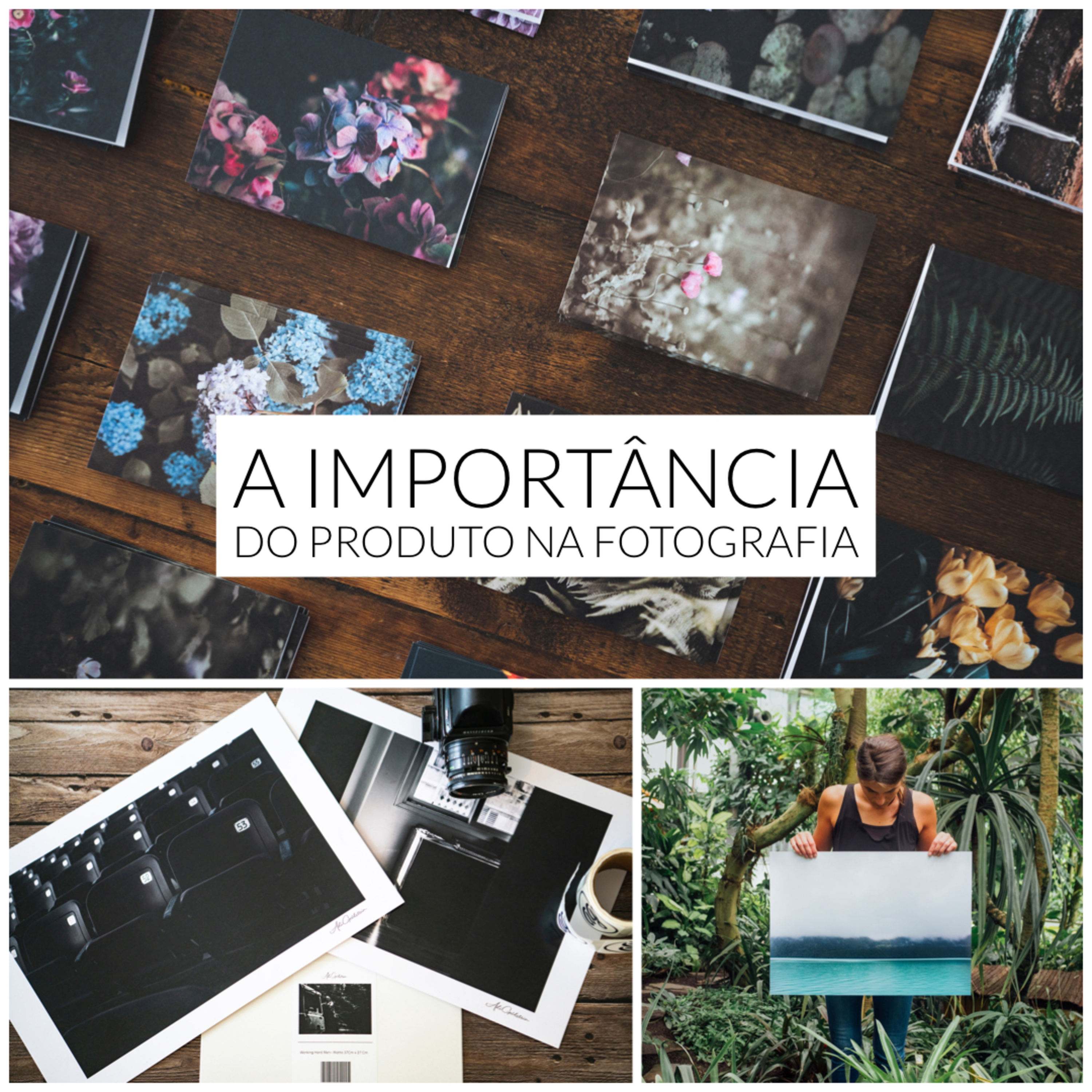 NFoTo