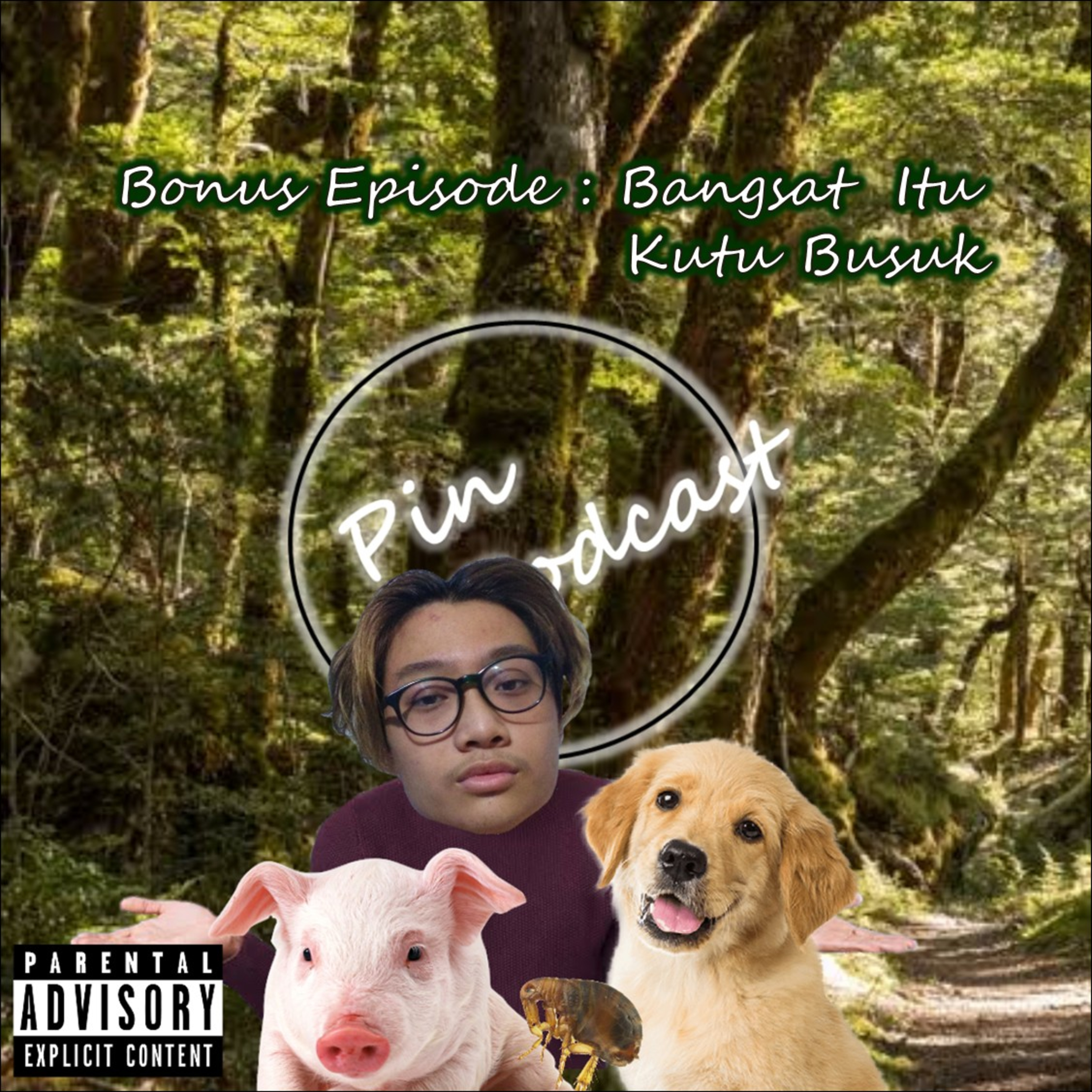 PinPodcast