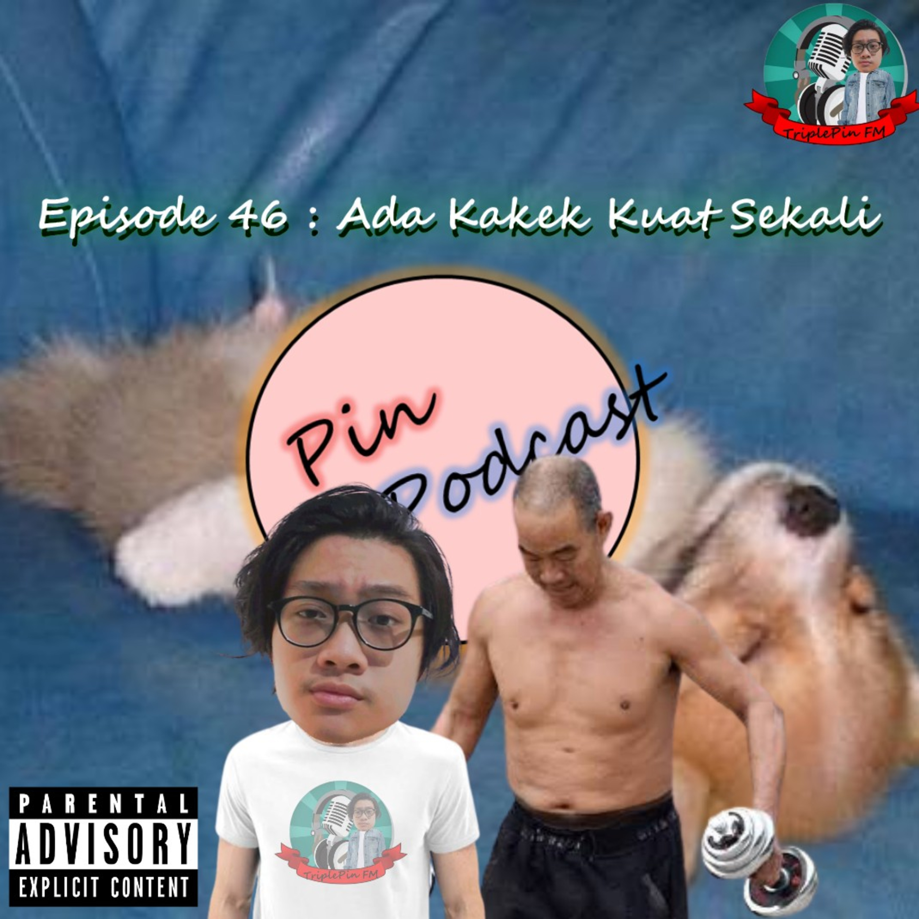 PinPodcast
