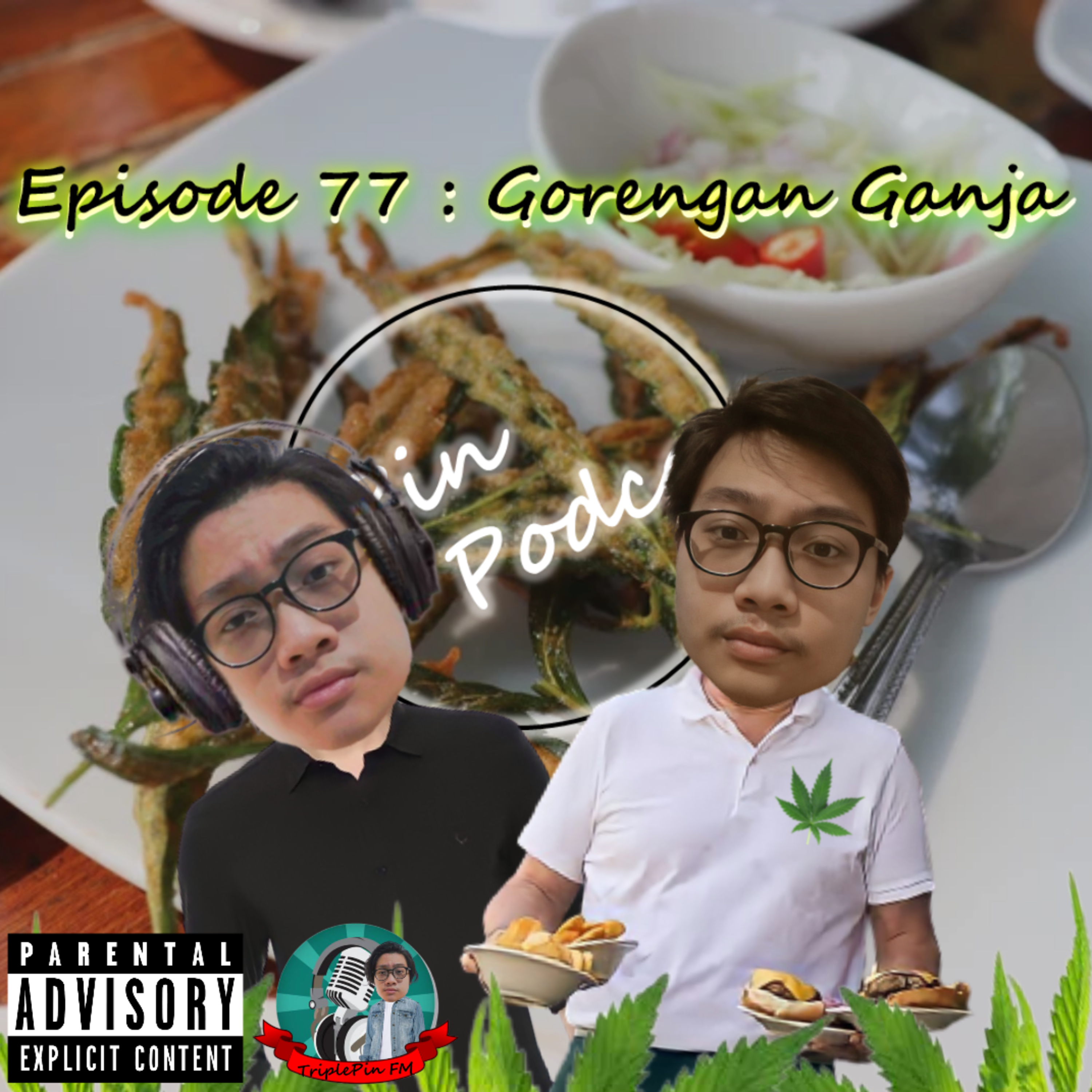 PinPodcast