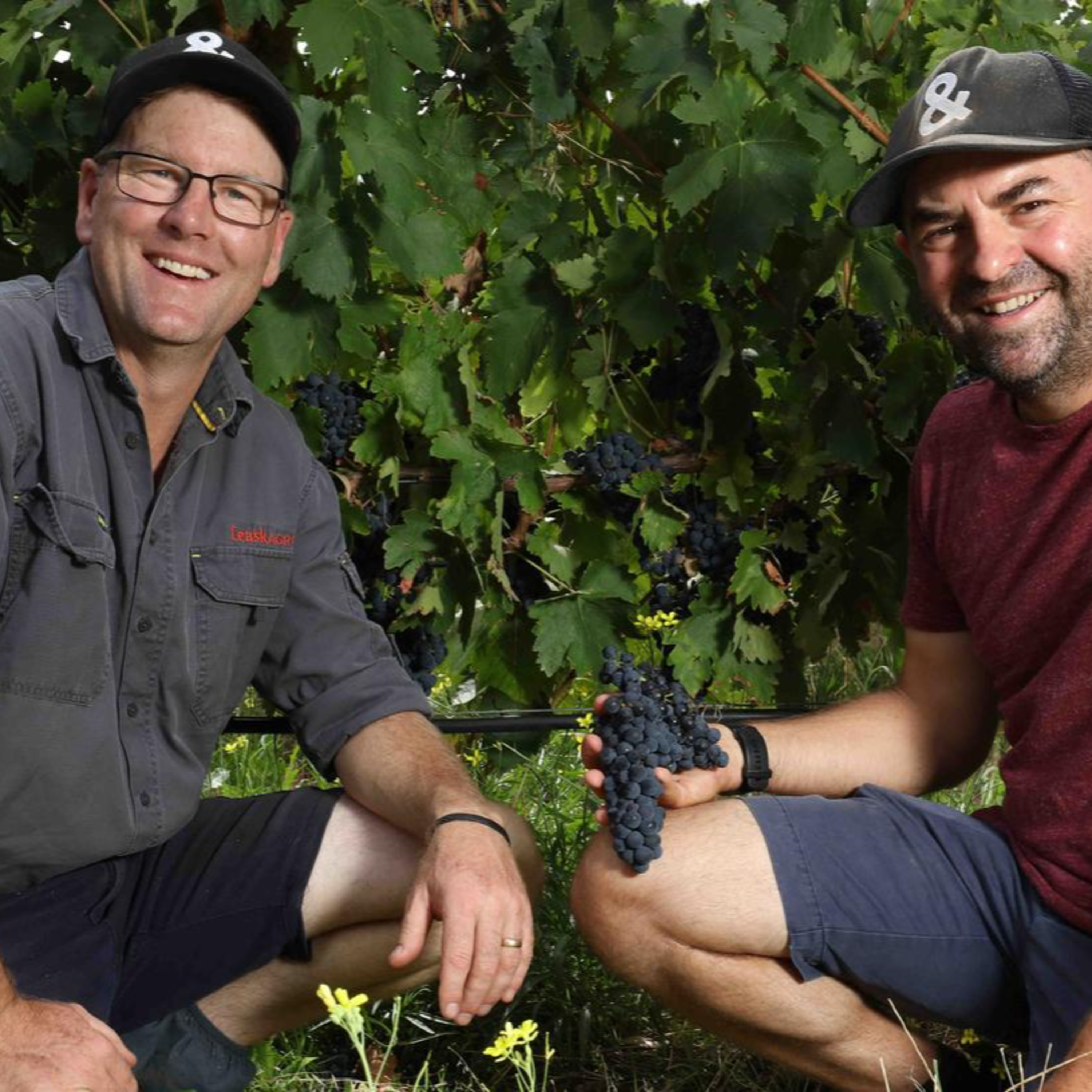 The Wine Show Australia