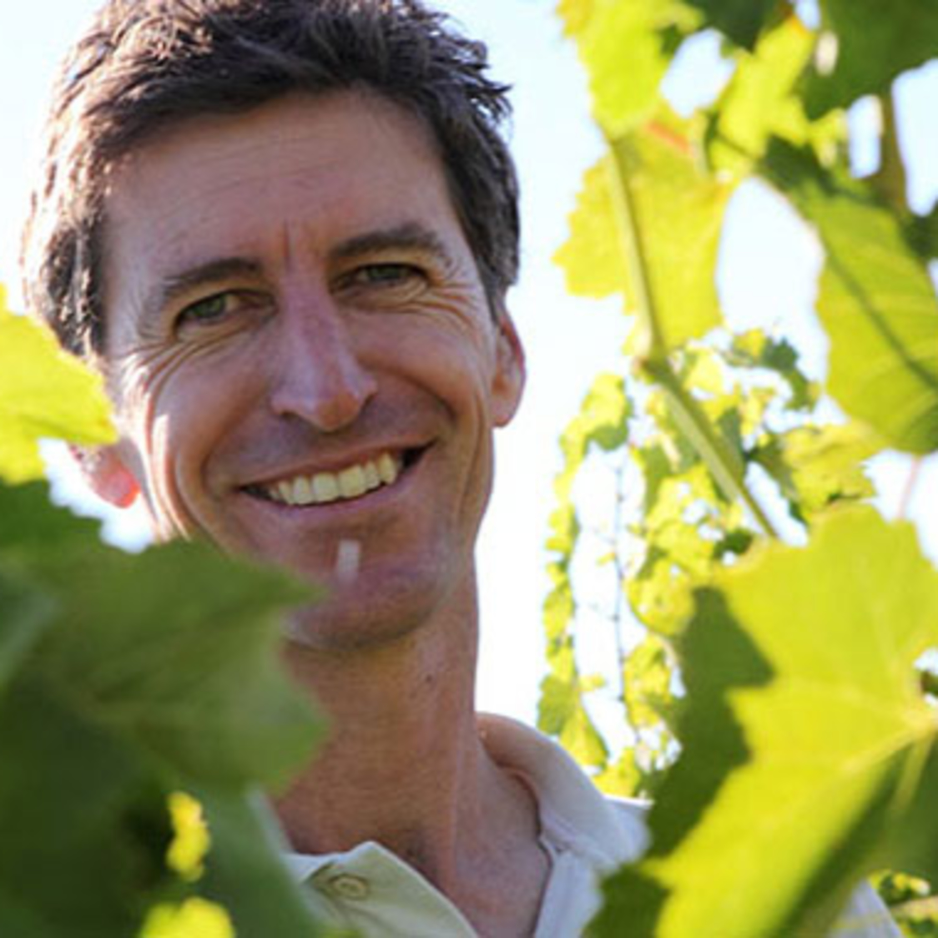 06 Warren Proft - Chrismont Wines (King Valley Outside Broadcast - June 2021) episode artwork