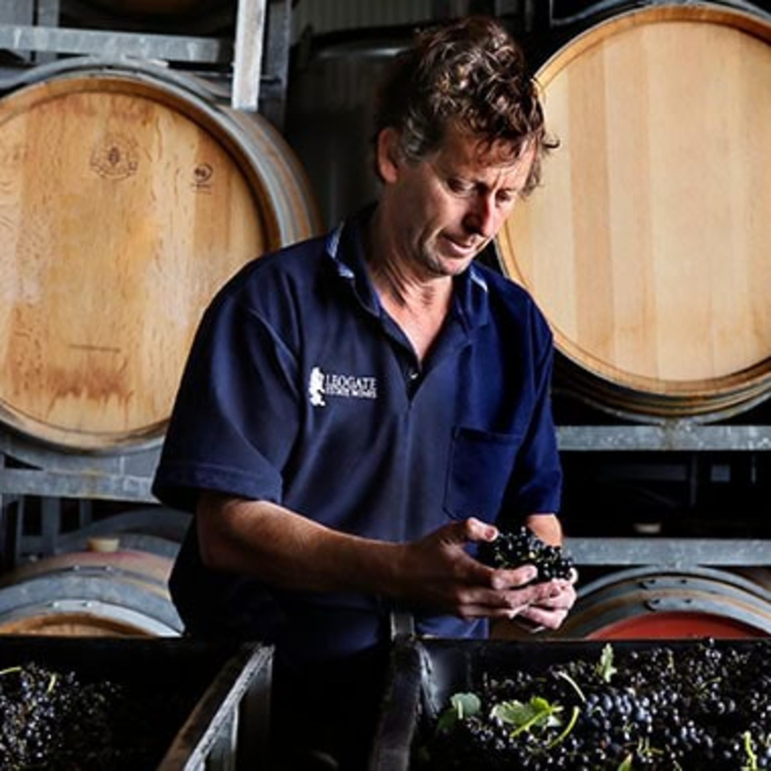 The Wine Show Australia
