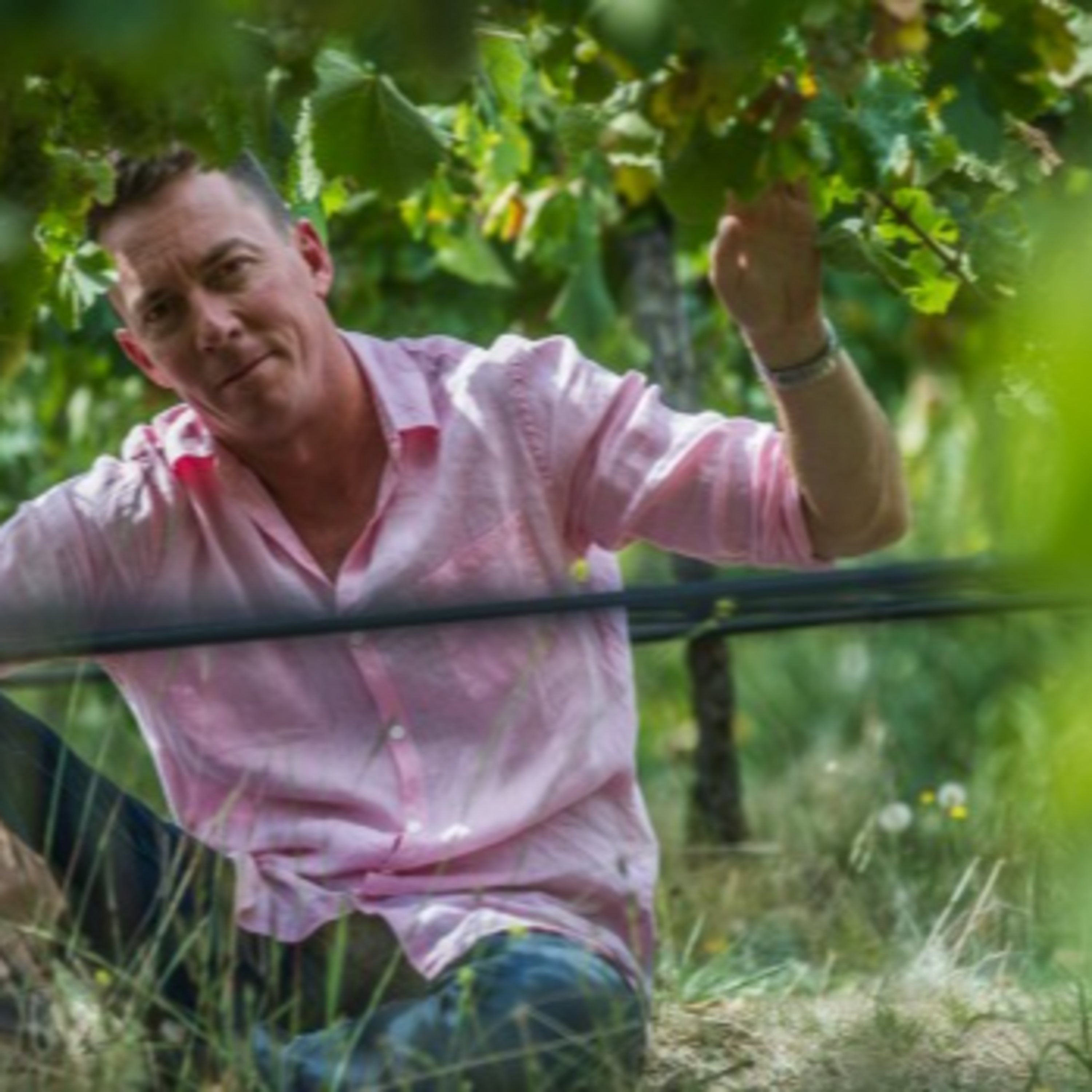 Fergus McGhie - Mount Majura Wines (Canberra) episode artwork