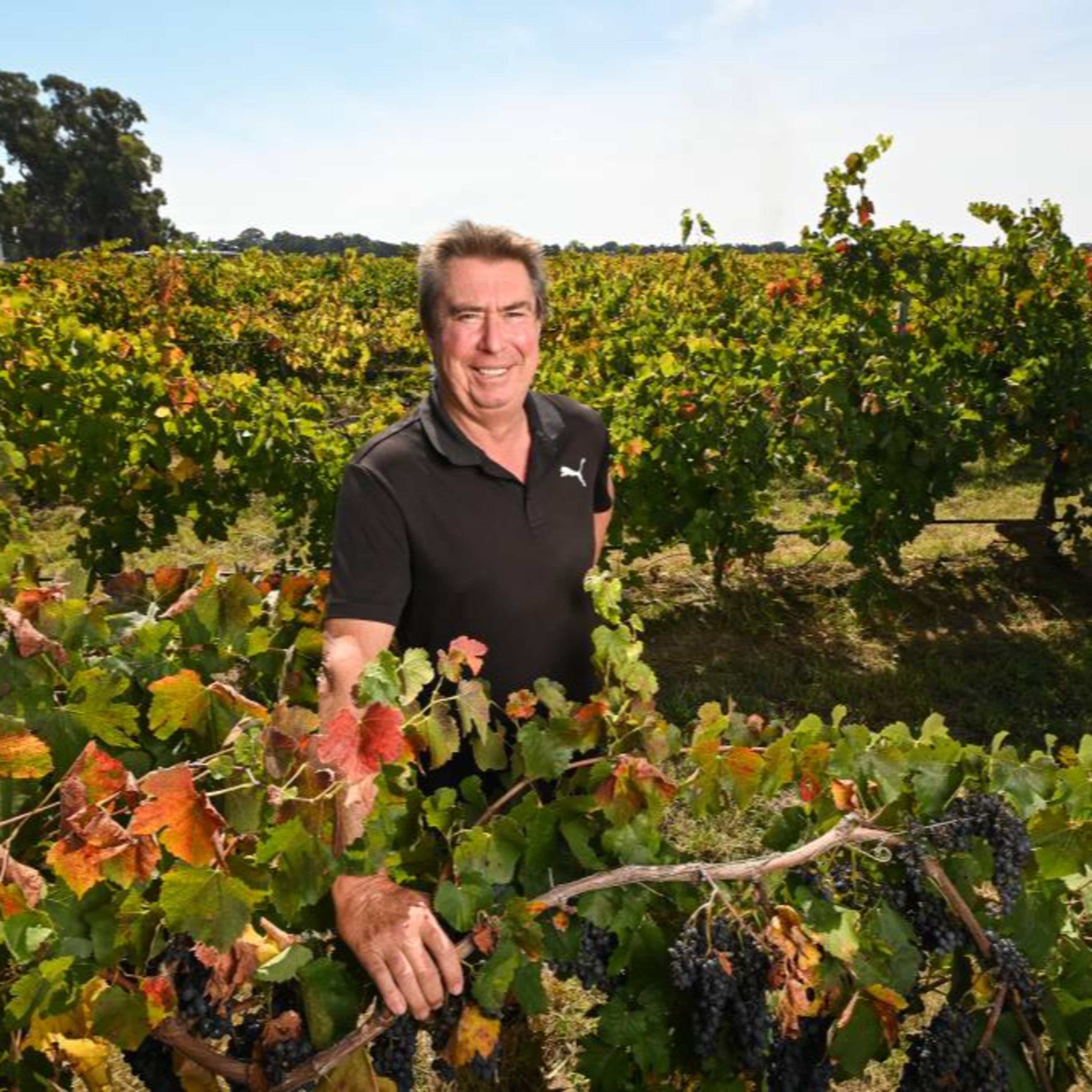 The Wine Show Australia
