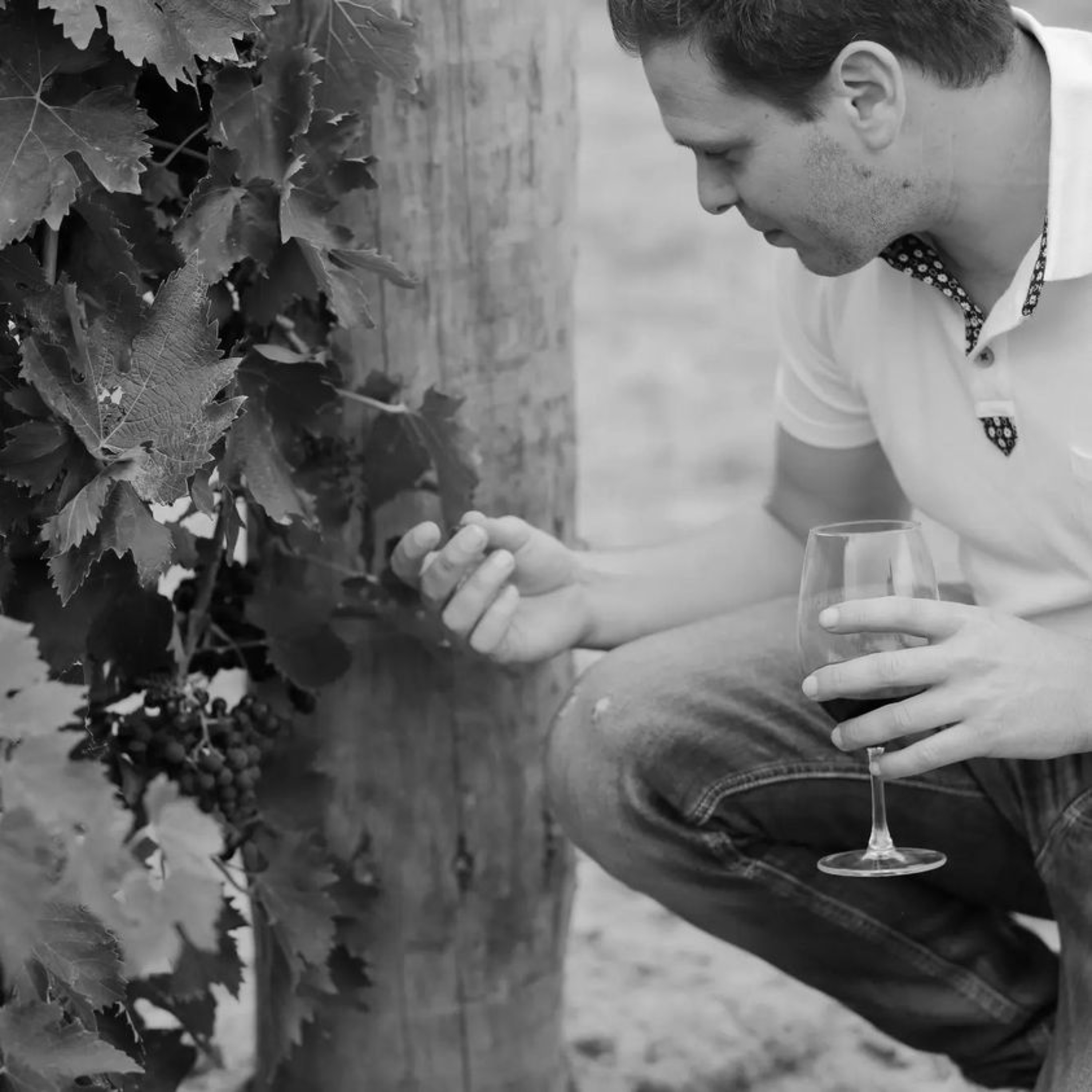 Pietro Giacalone - Pietro Wines (McLaren Vale) episode artwork