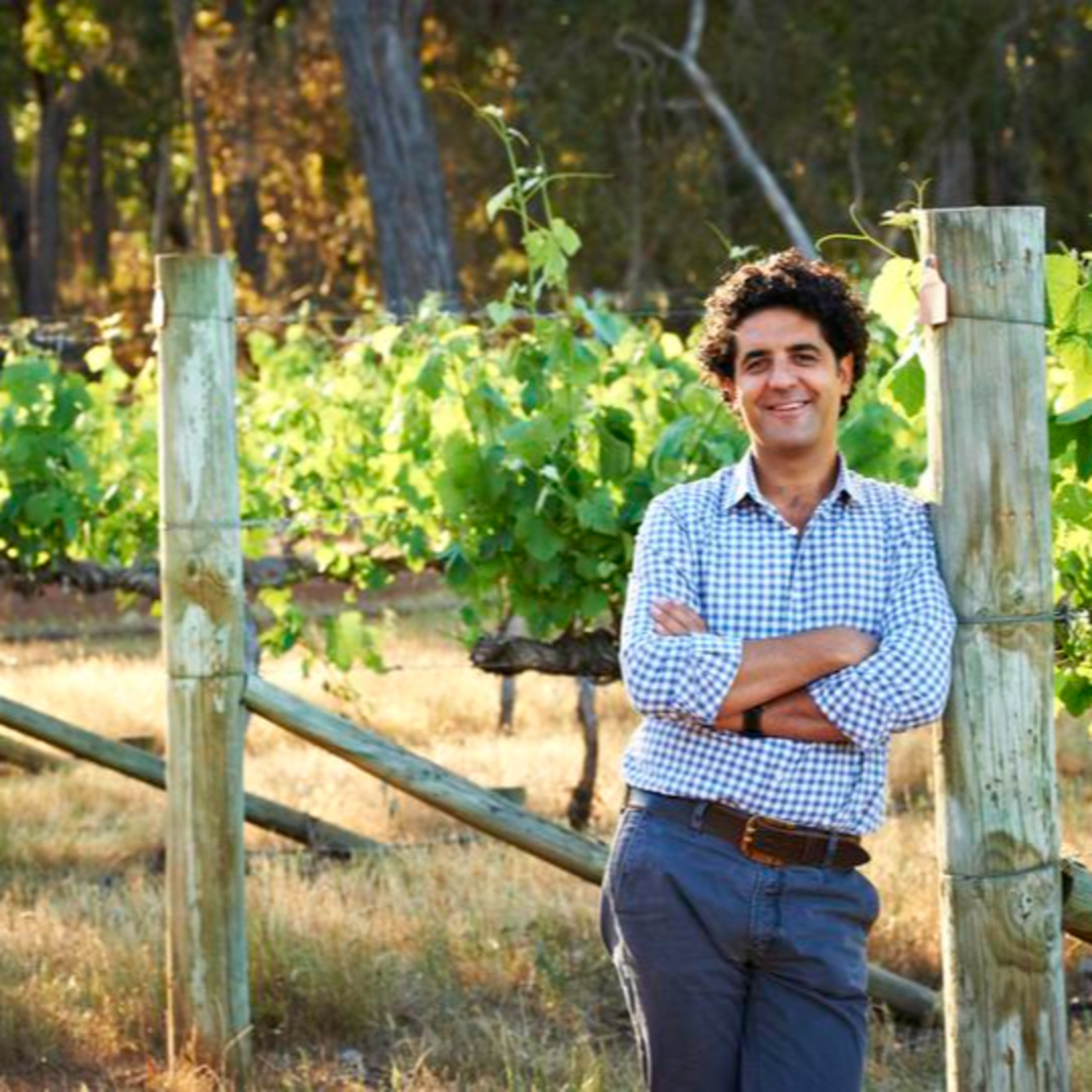 Larry Cherubino - Larry Cherubino Wines (Great Southern) episode artwork
