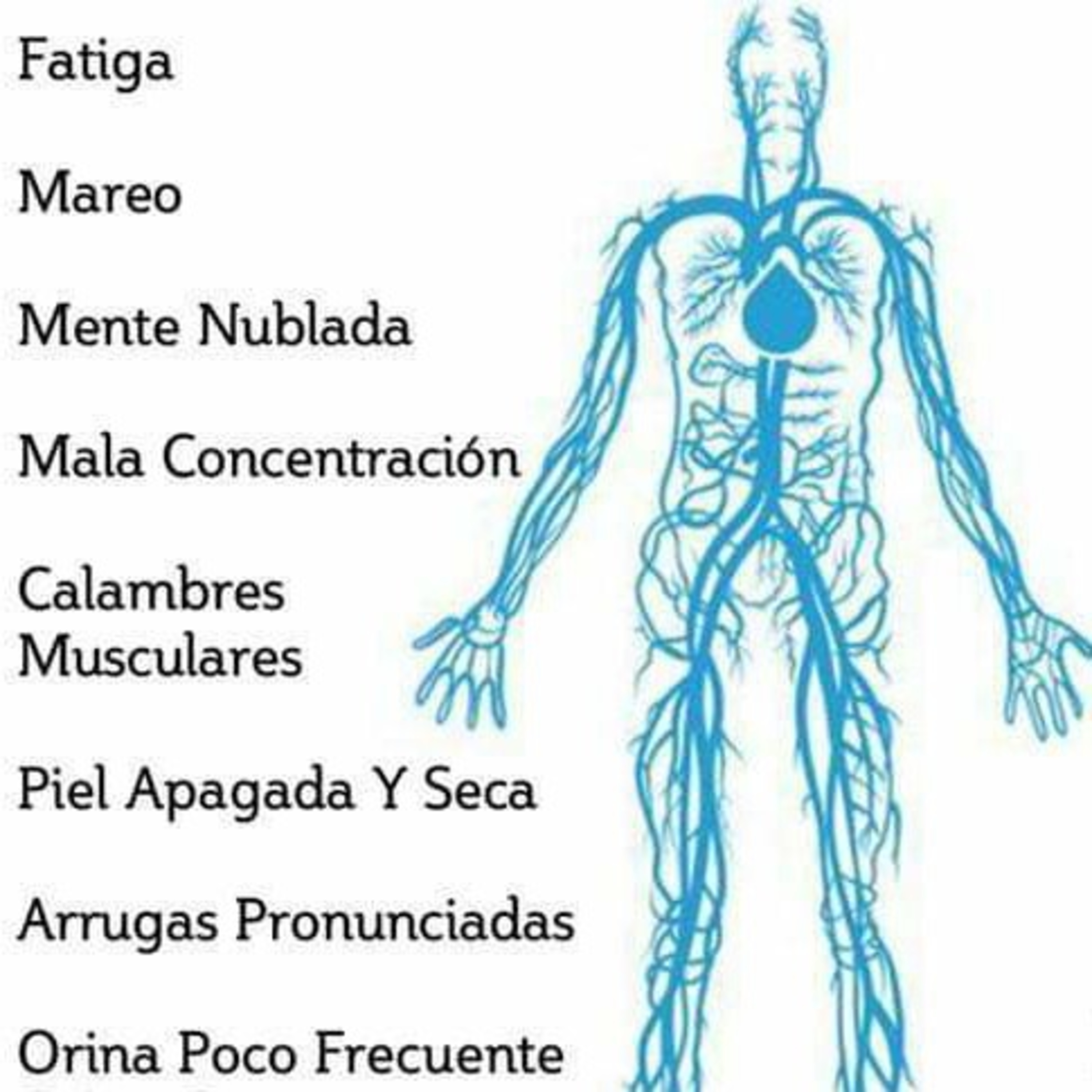 Agua en el bienestar de la salud