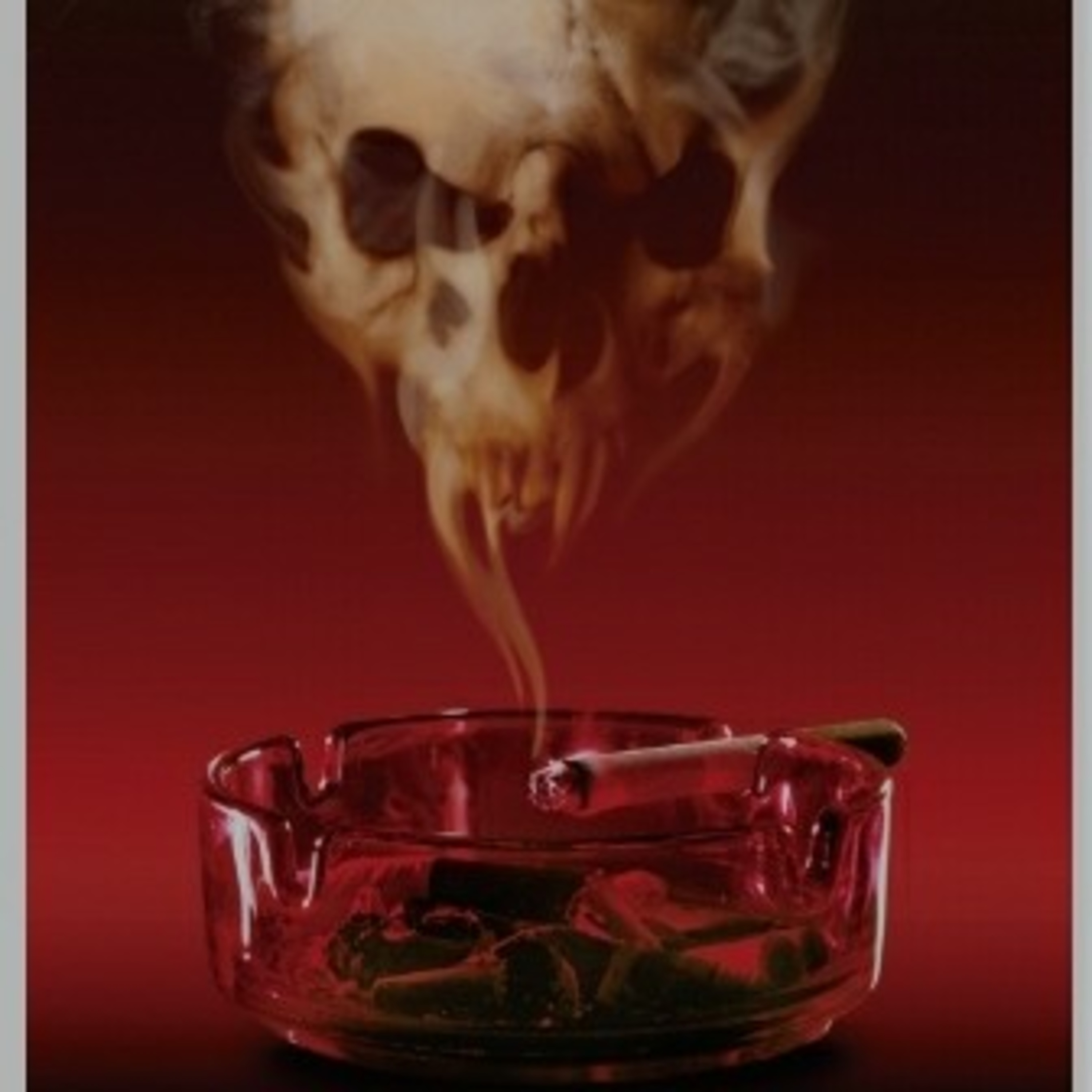 T17 Frutos prohibidos: Cafe, Tabaco. episode artwork